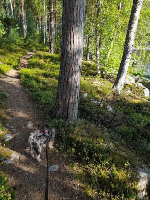 Poukama Cottage Päijätsalo