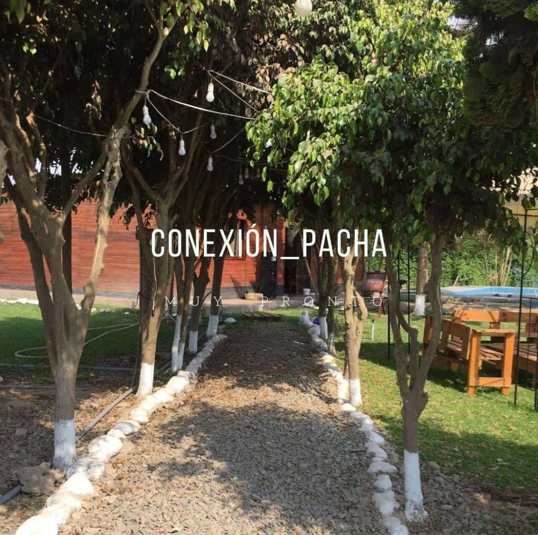 Conexion pacha