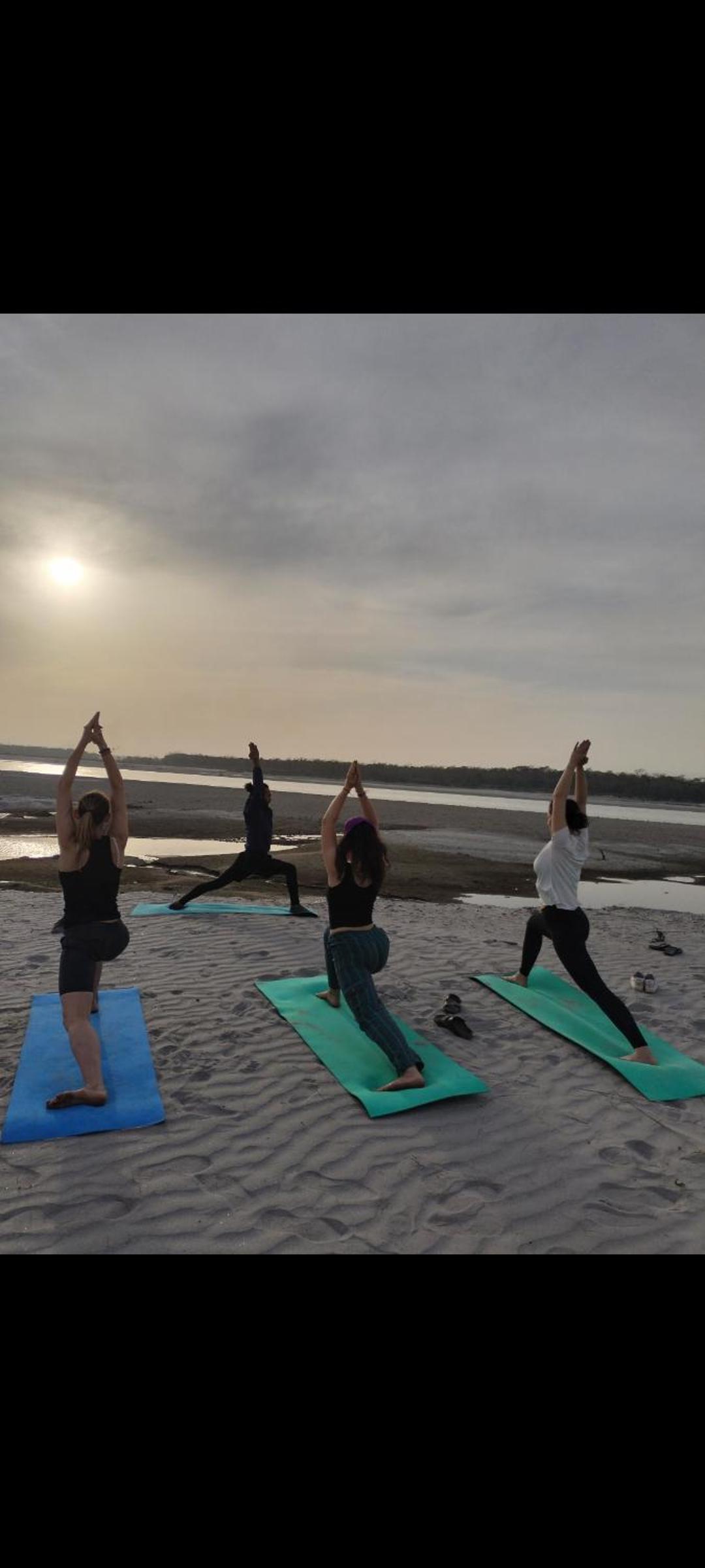 Wildflow jungle yoga safari and homestay view 2
