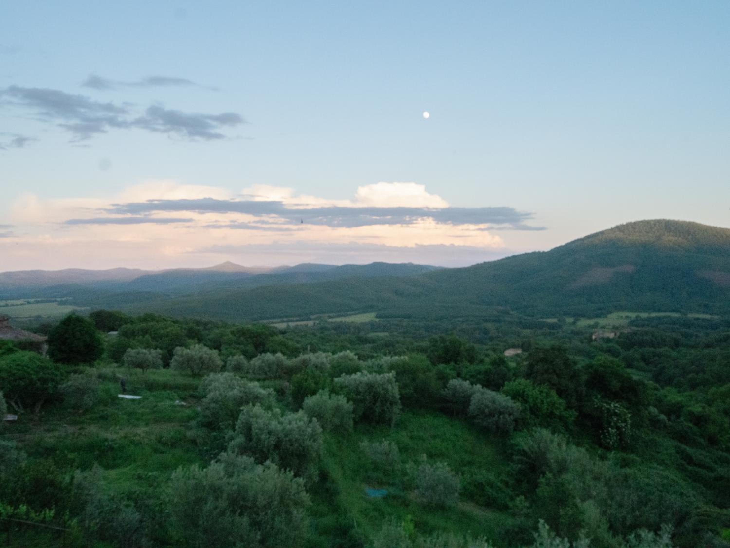 Grazioso appartamento in Toscana view 3