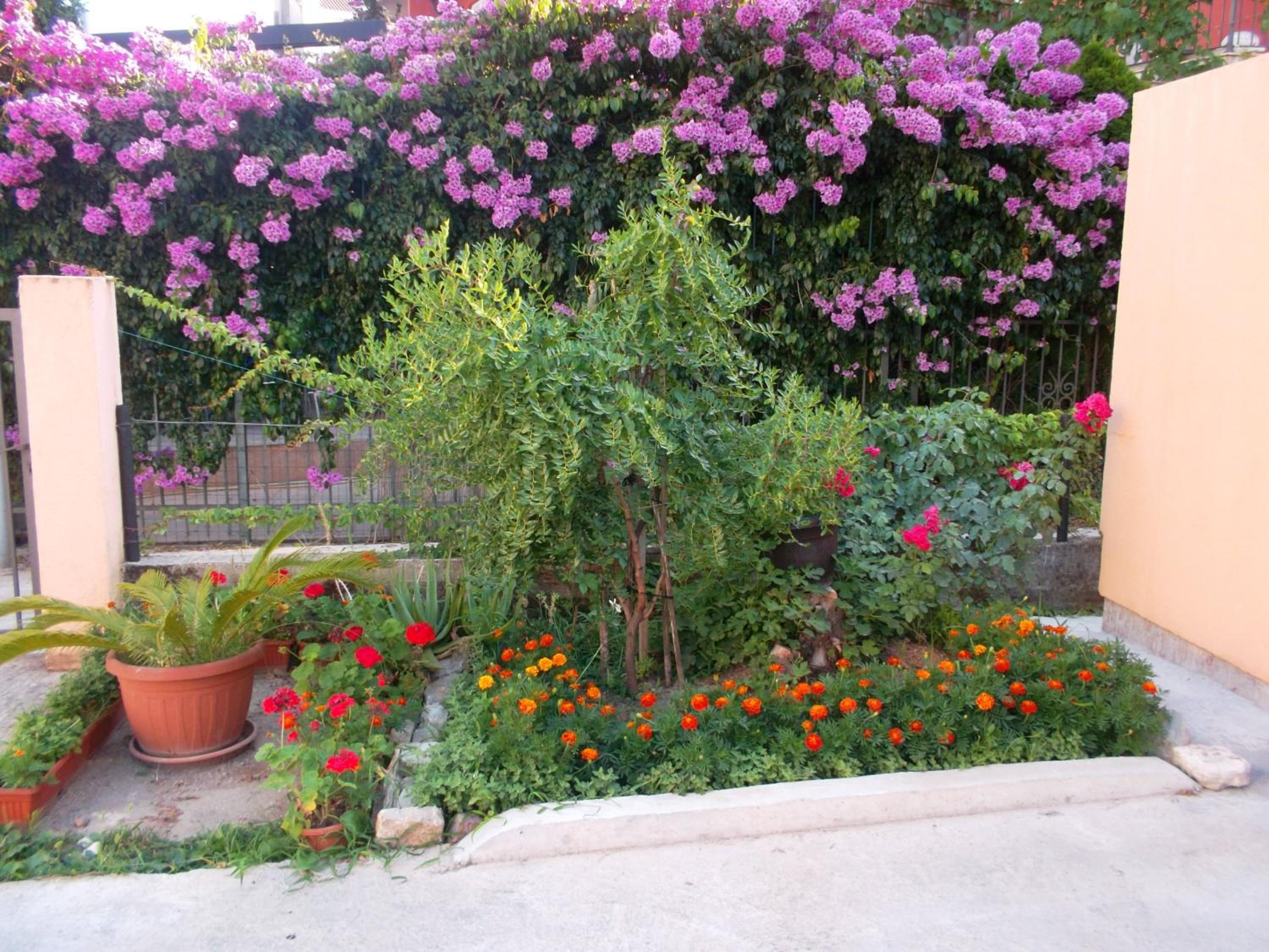 Photo 51