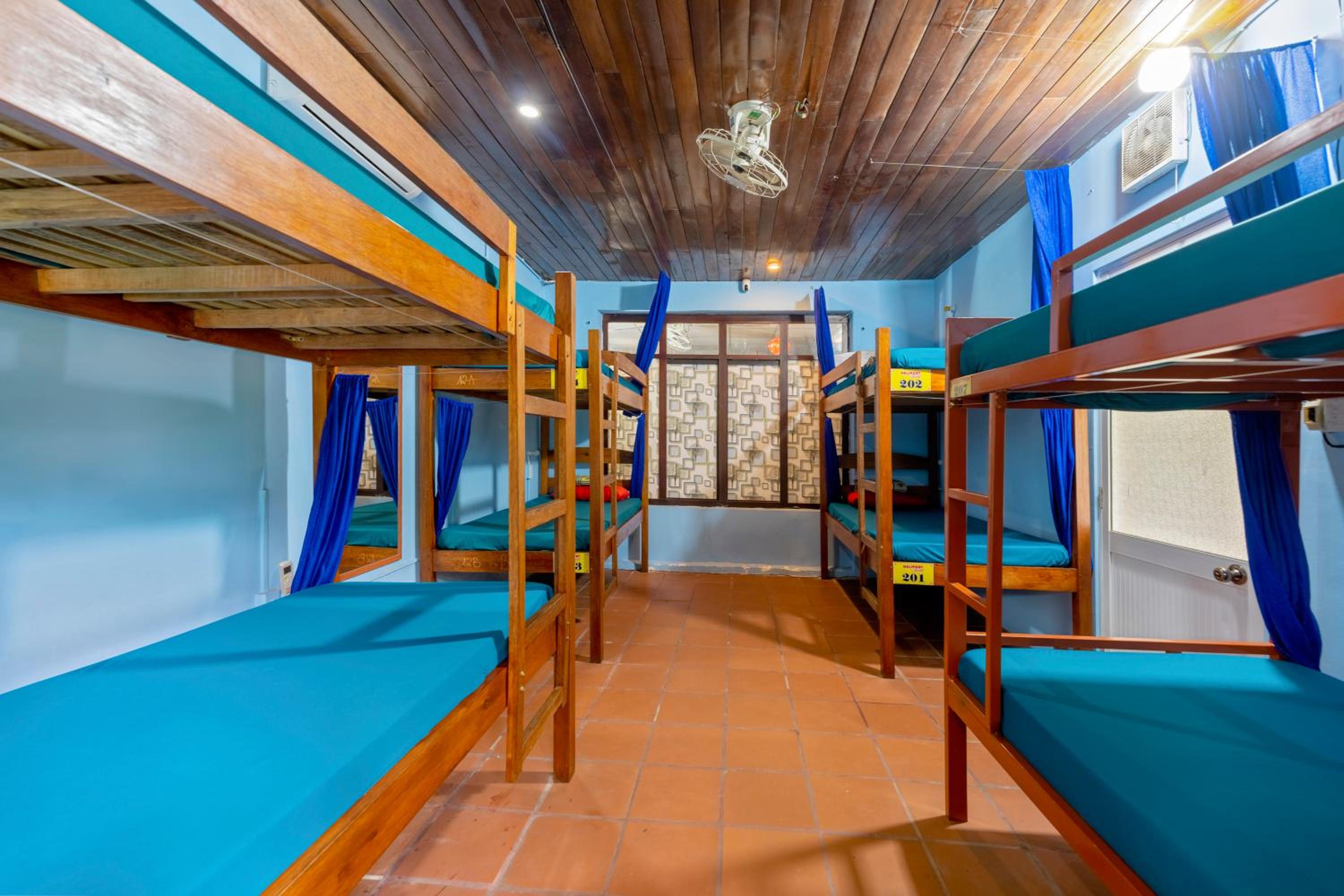 Serendipity Experience Hoi An Hostel