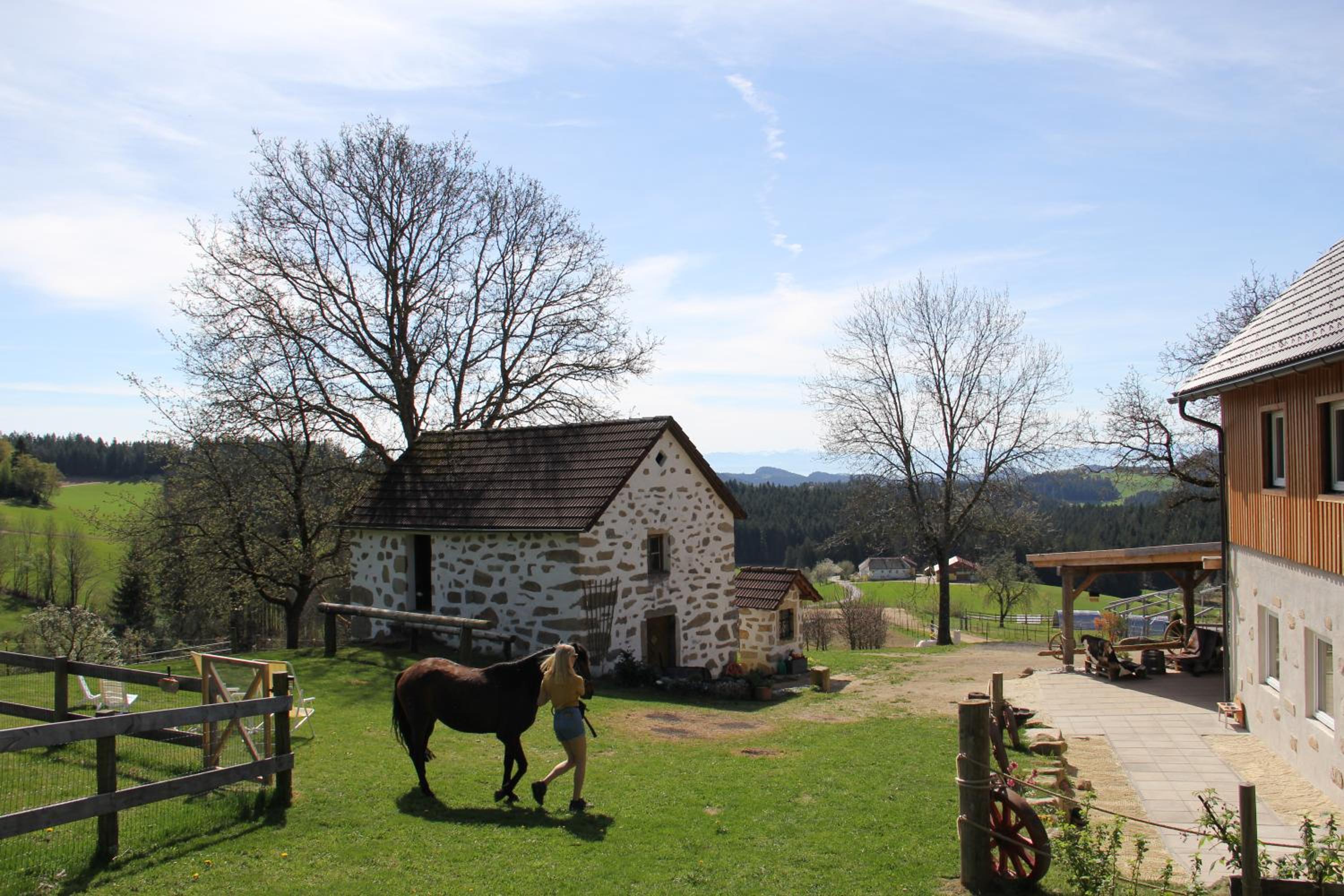 Erlebnishof Steinkellnergut