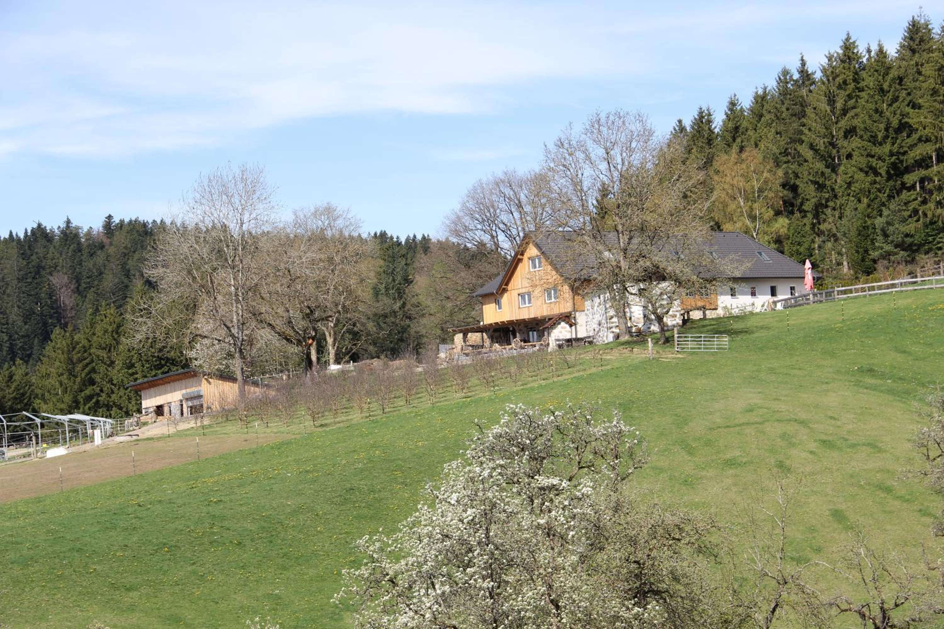 Erlebnishof Steinkellnergut