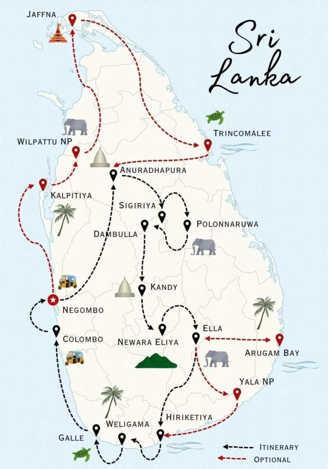 DiNi Galle