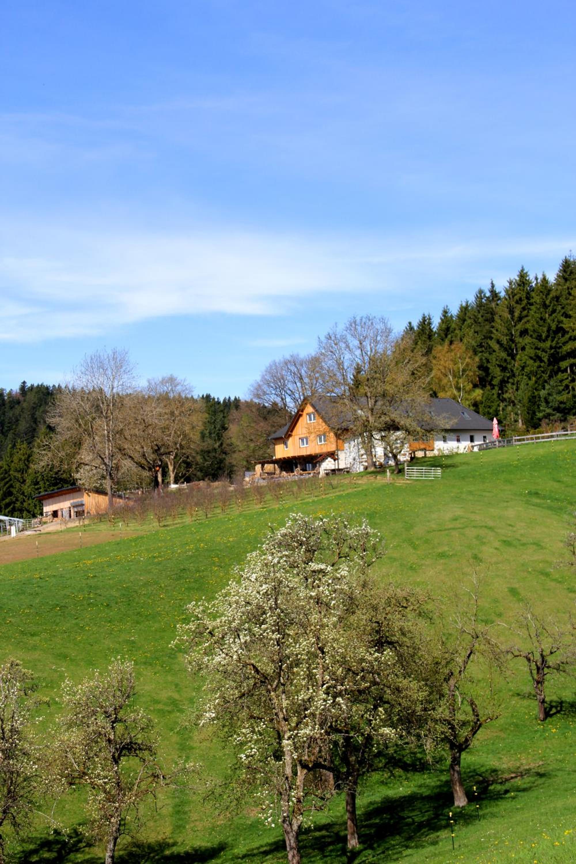 Erlebnishof Steinkellnergut