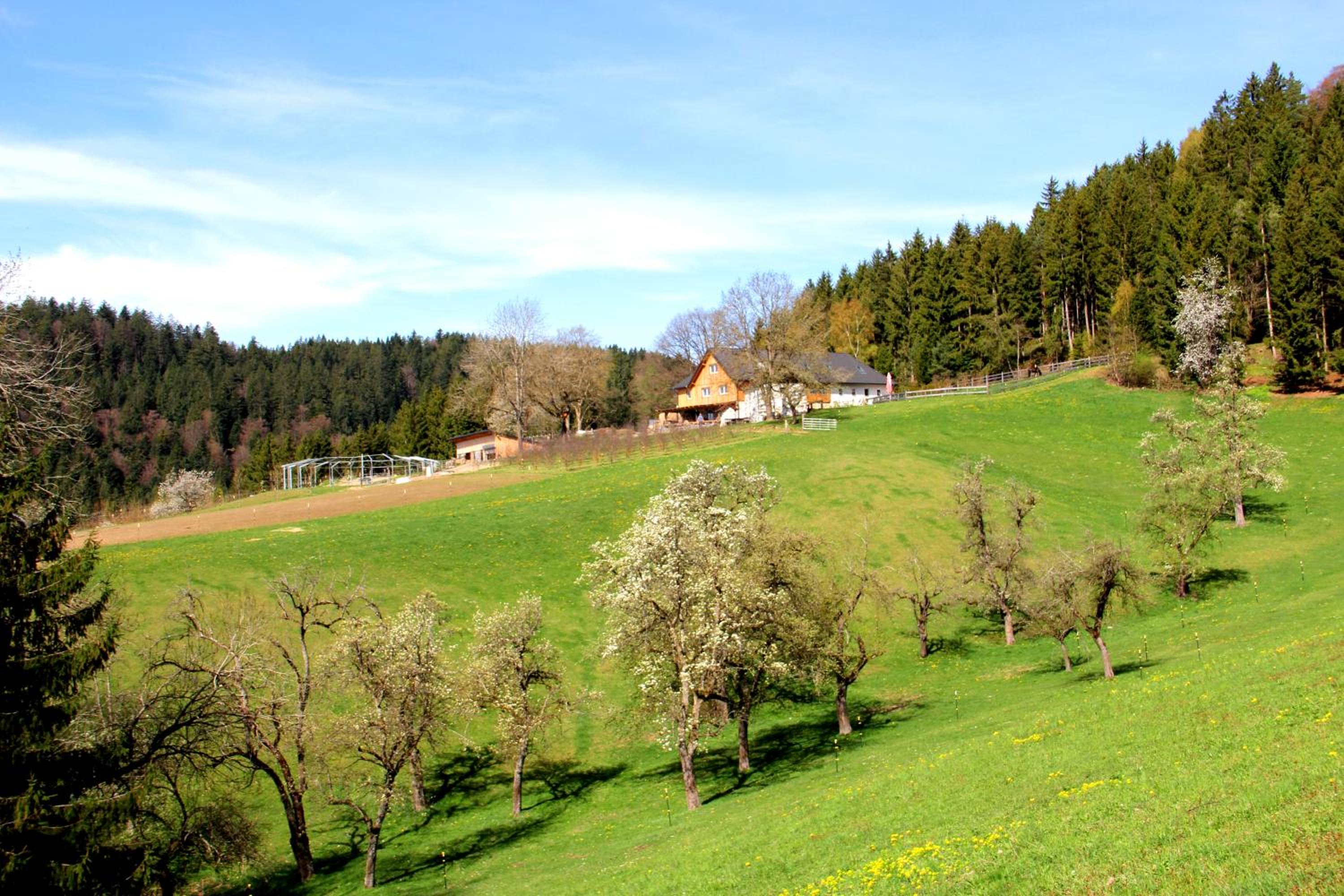 Erlebnishof Steinkellnergut
