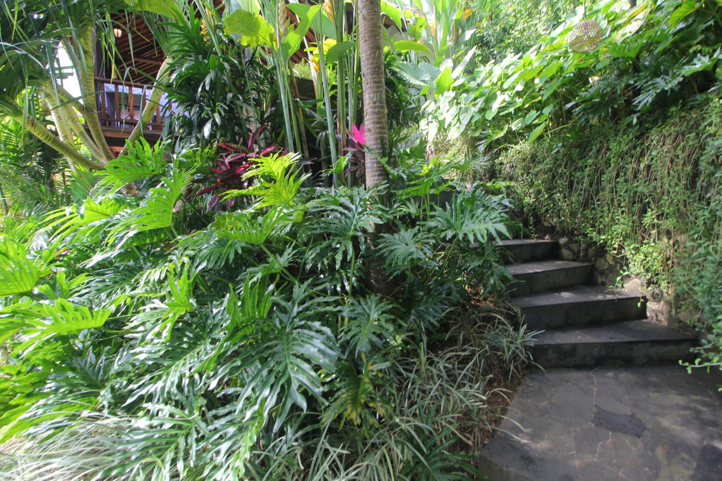 Photo 43