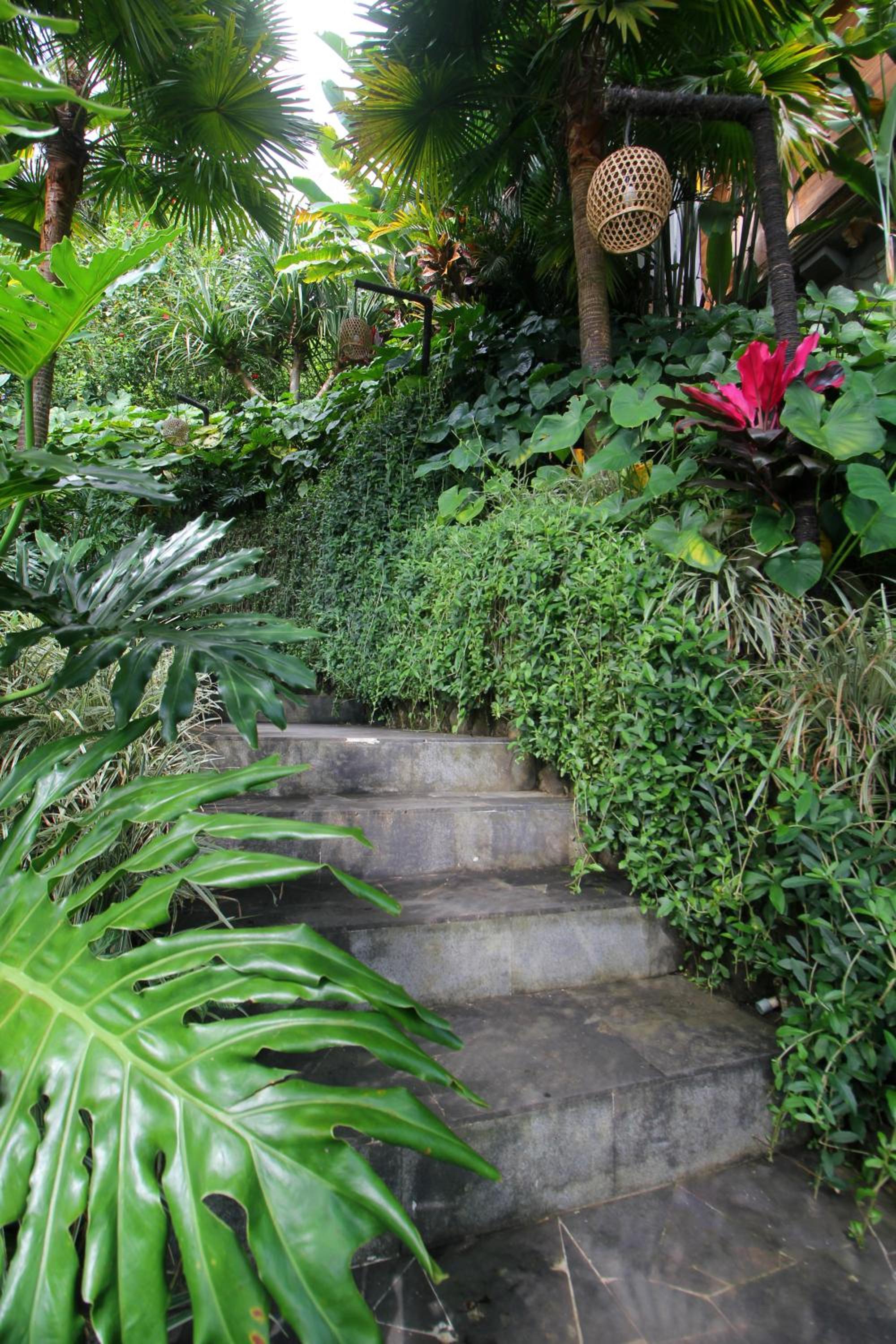 Photo 42