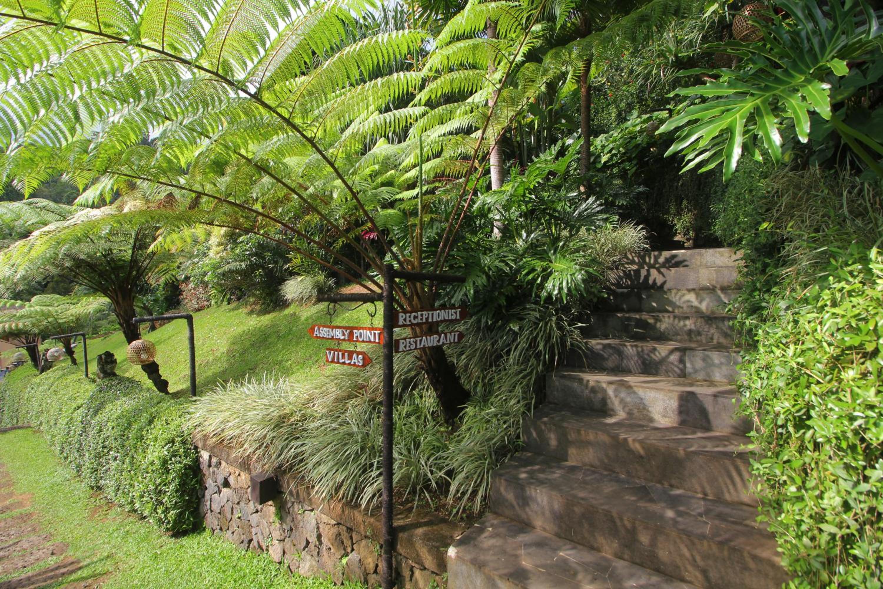 Photo 44