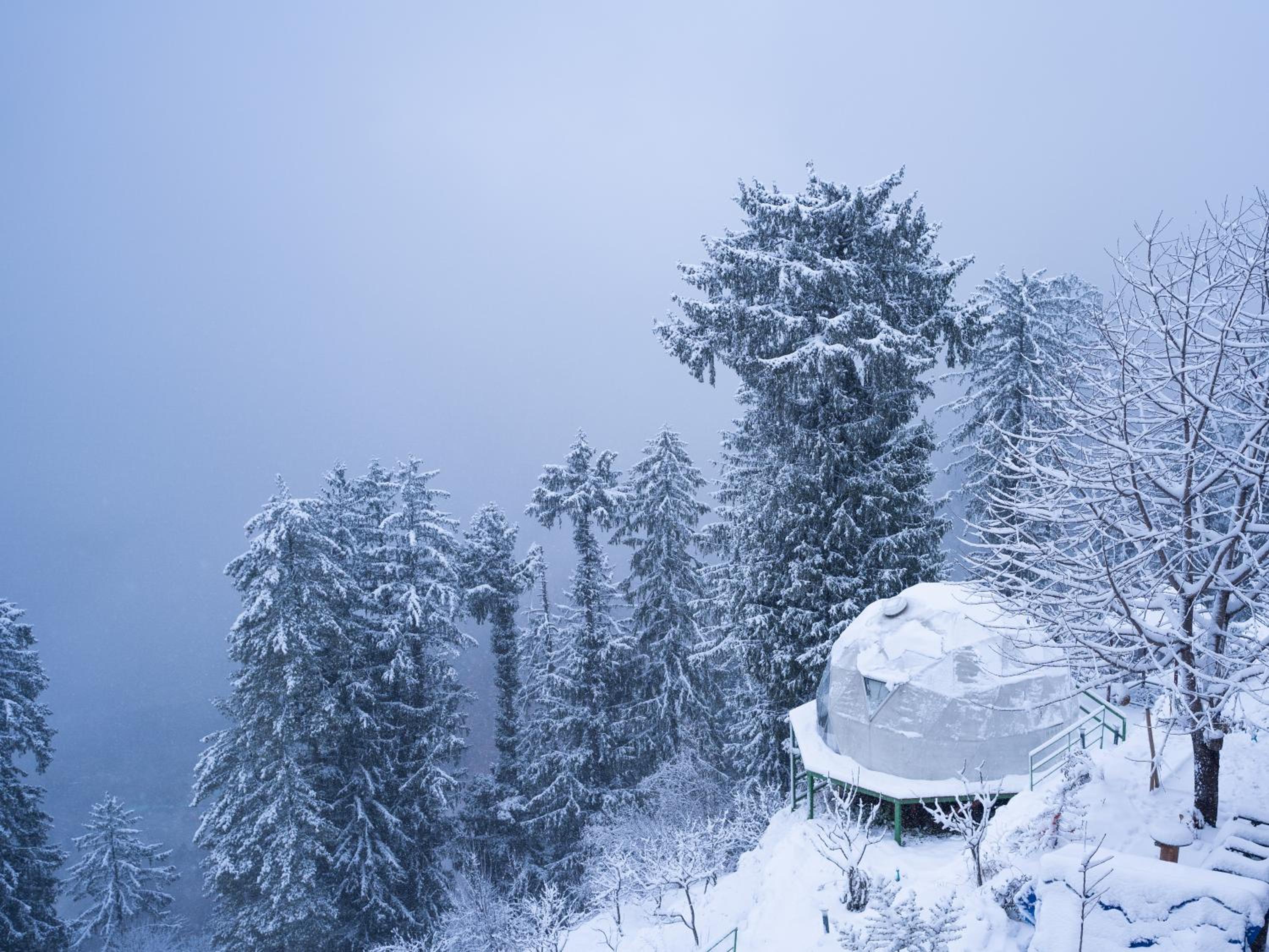 GlampEco Manali