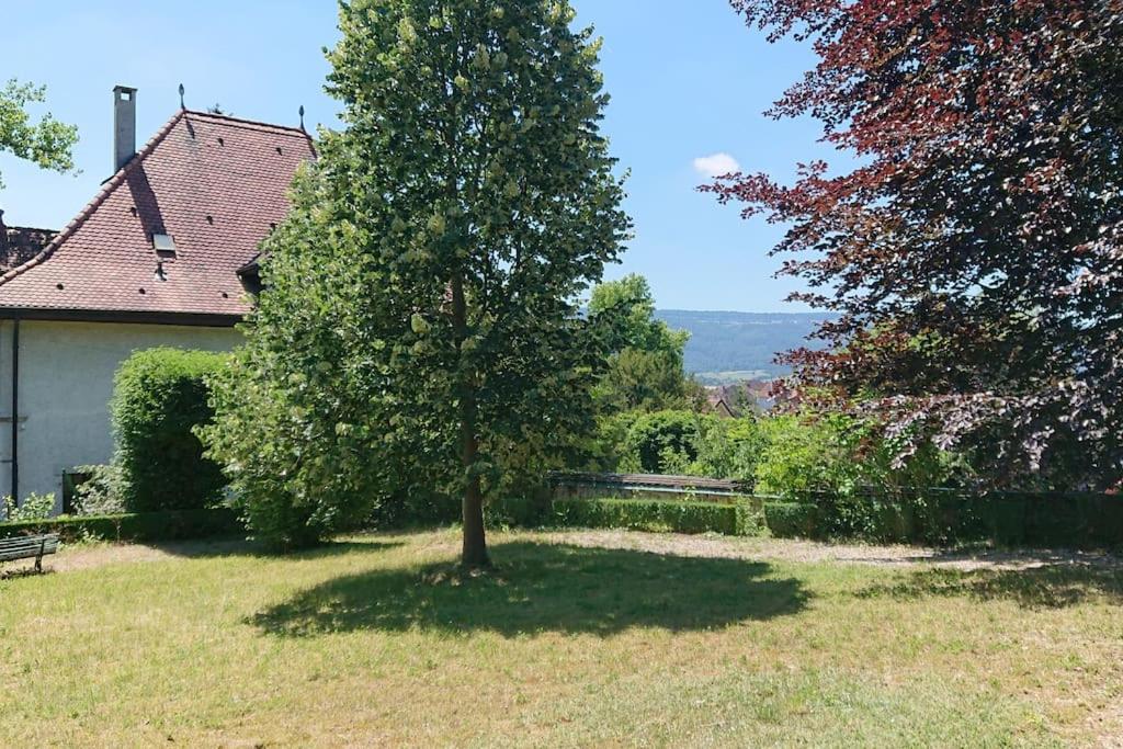 Villa unique, piscine et grand parc, Vorbourg 15