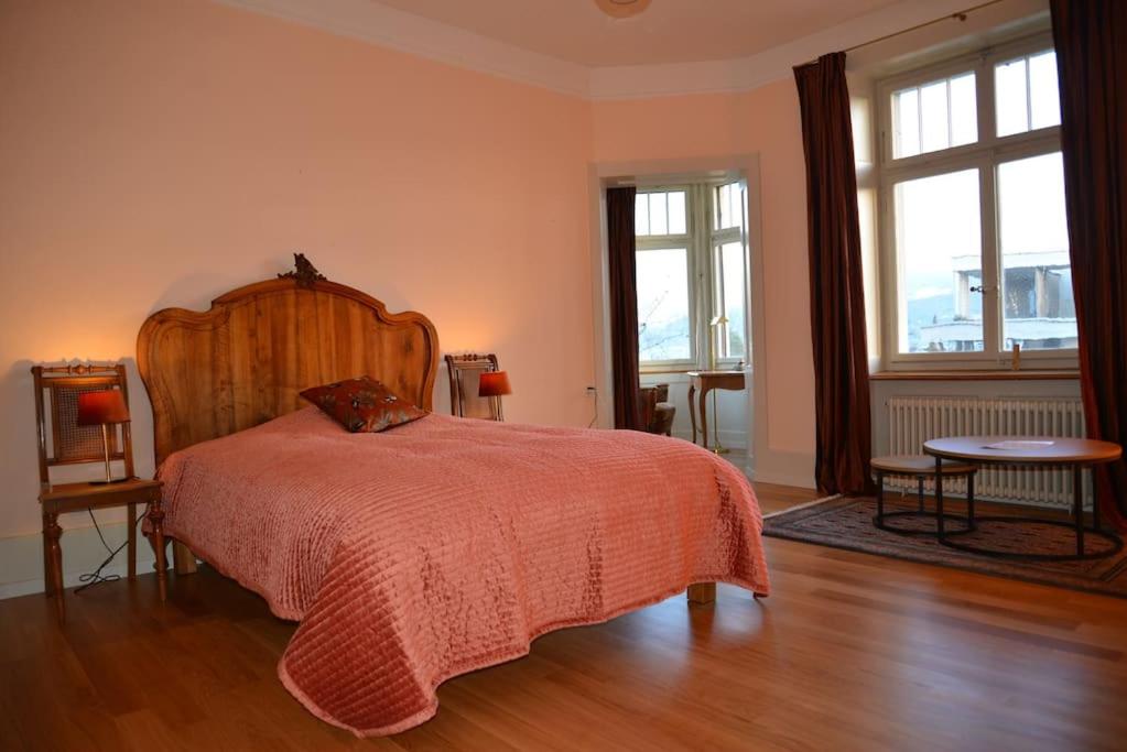 Villa unique, piscine et grand parc, Vorbourg 15