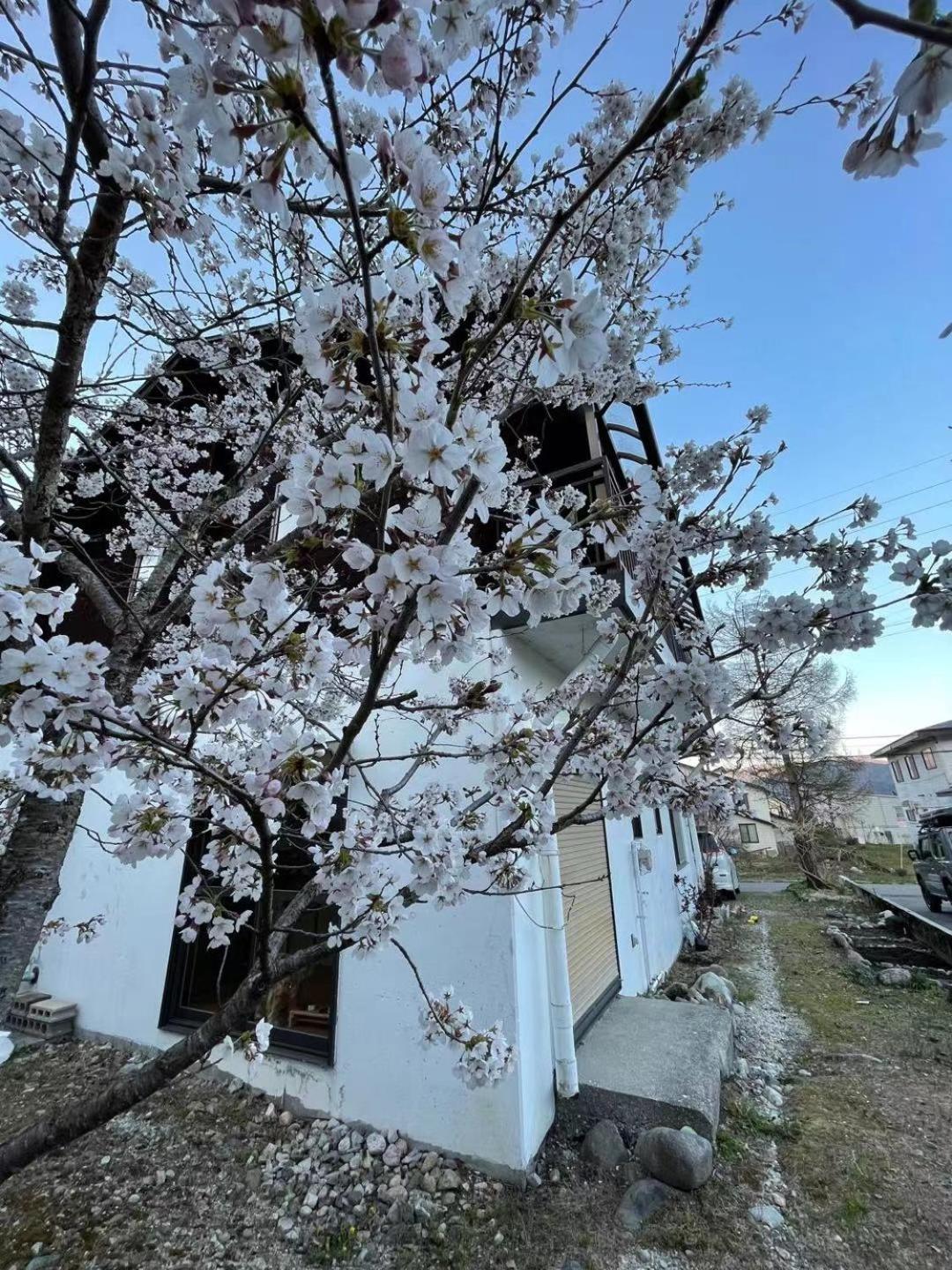 Echo GuestHouse