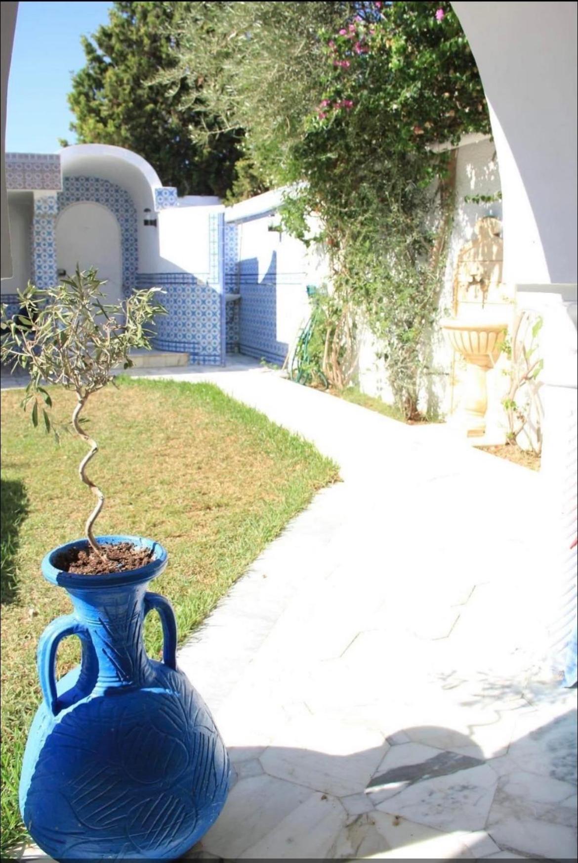 Photo 19