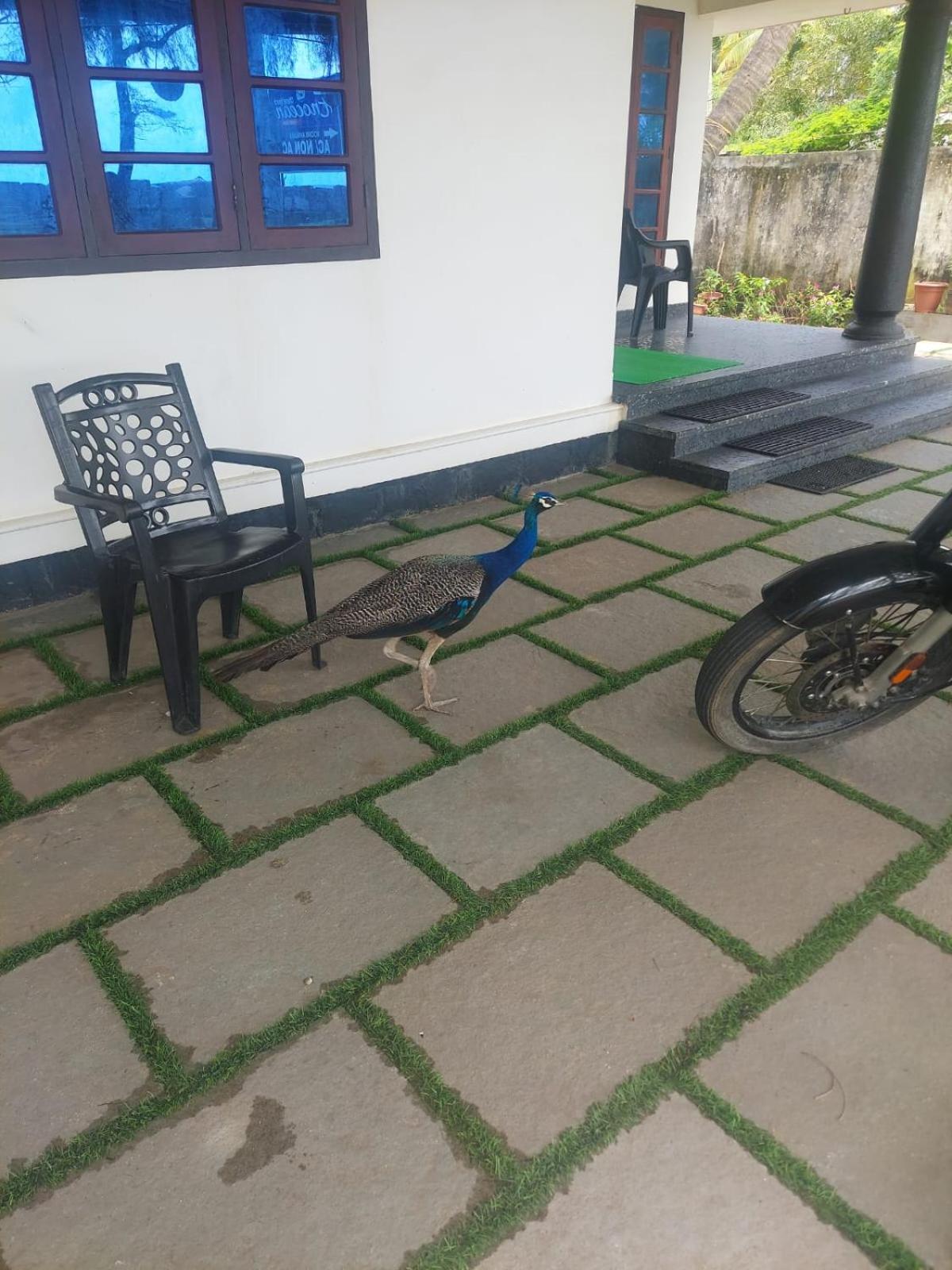ENOCEAN HOMESTAY