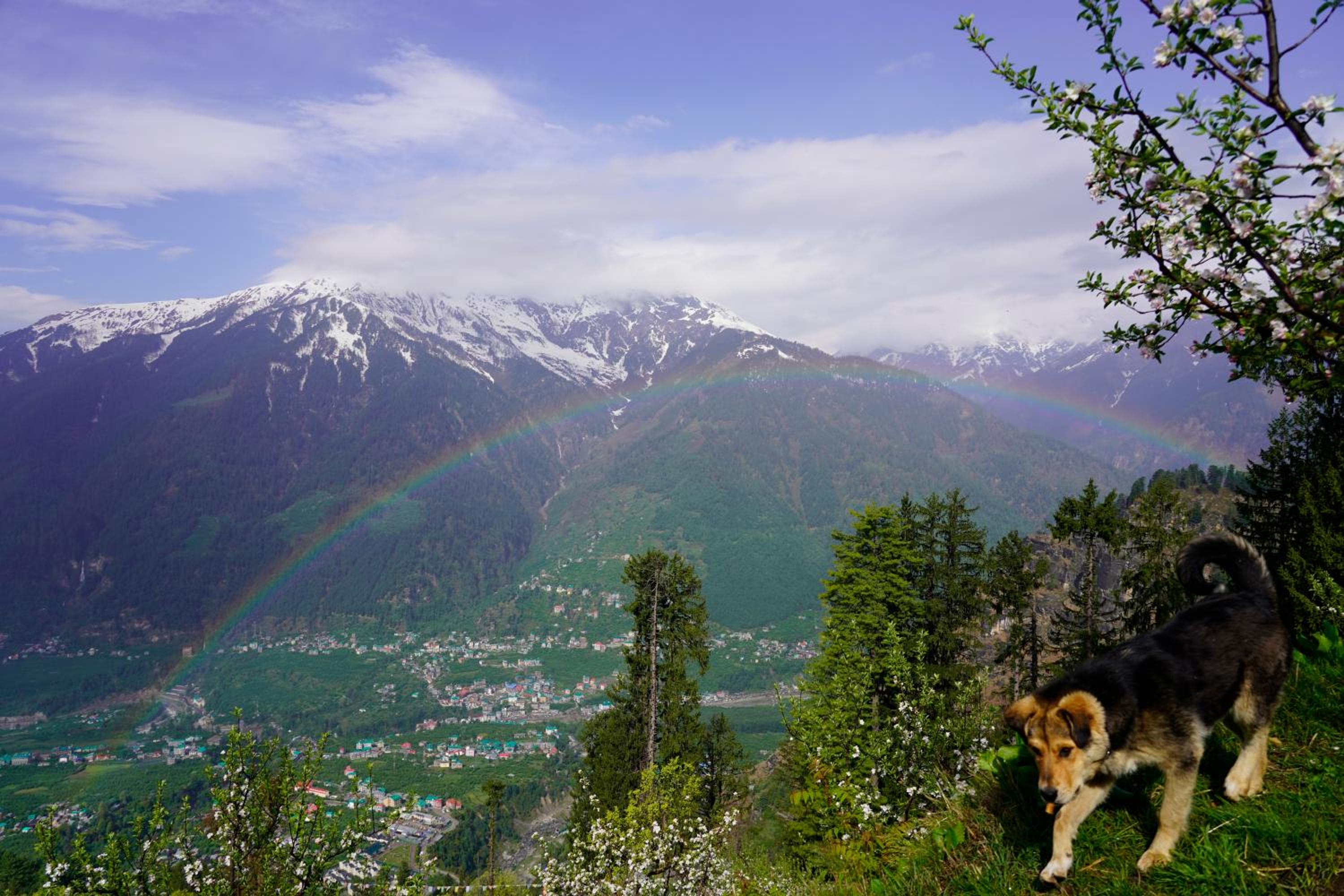 GlampEco Manali