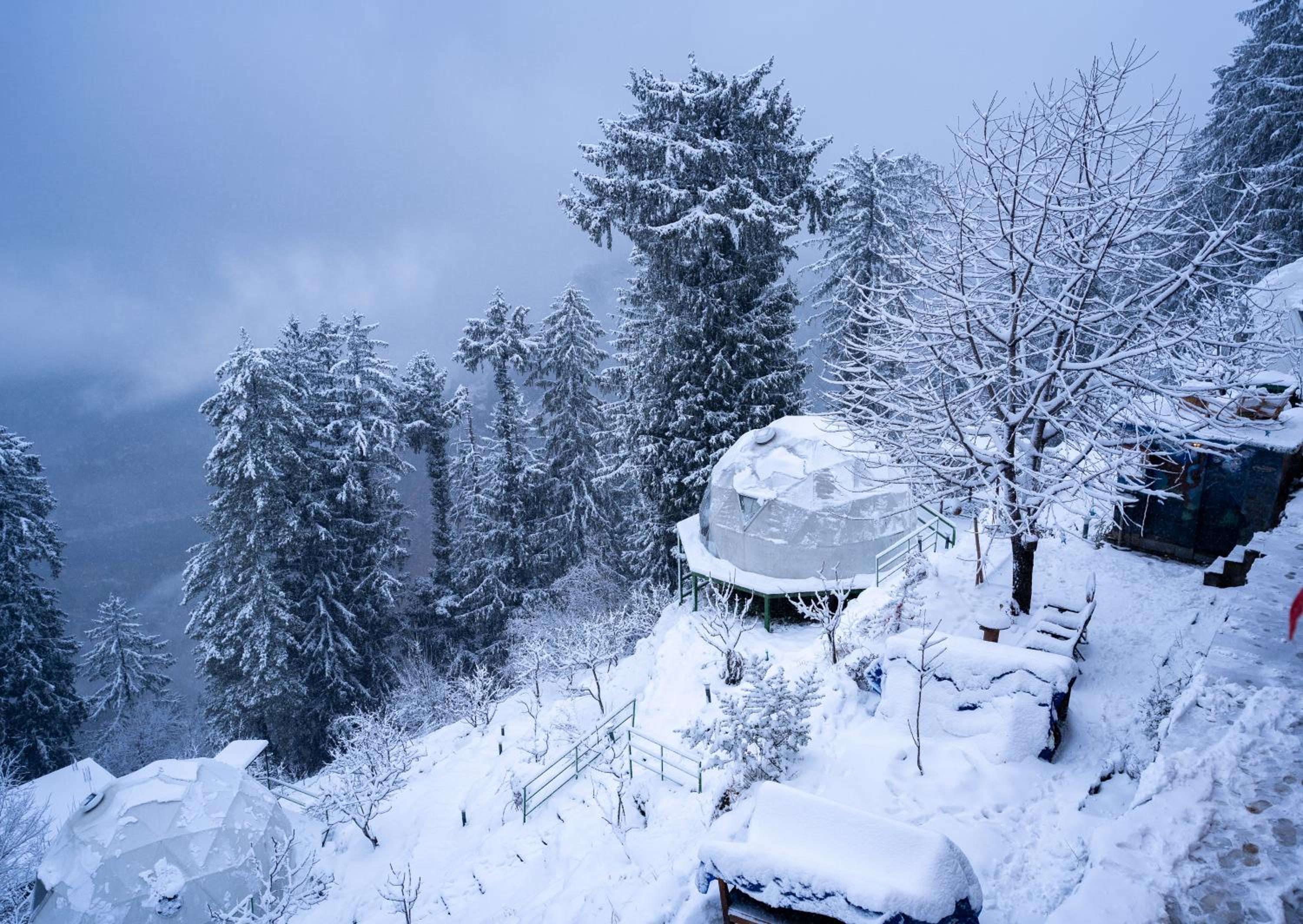 GlampEco Manali