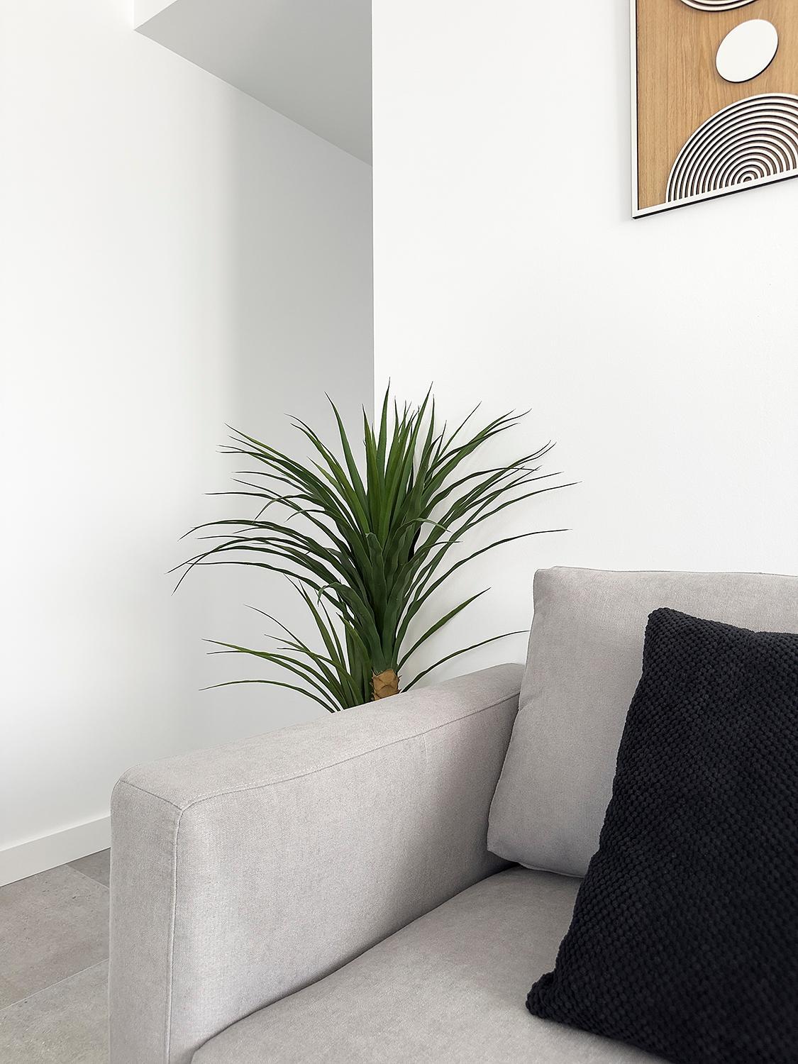 Apartamentos Clotilde