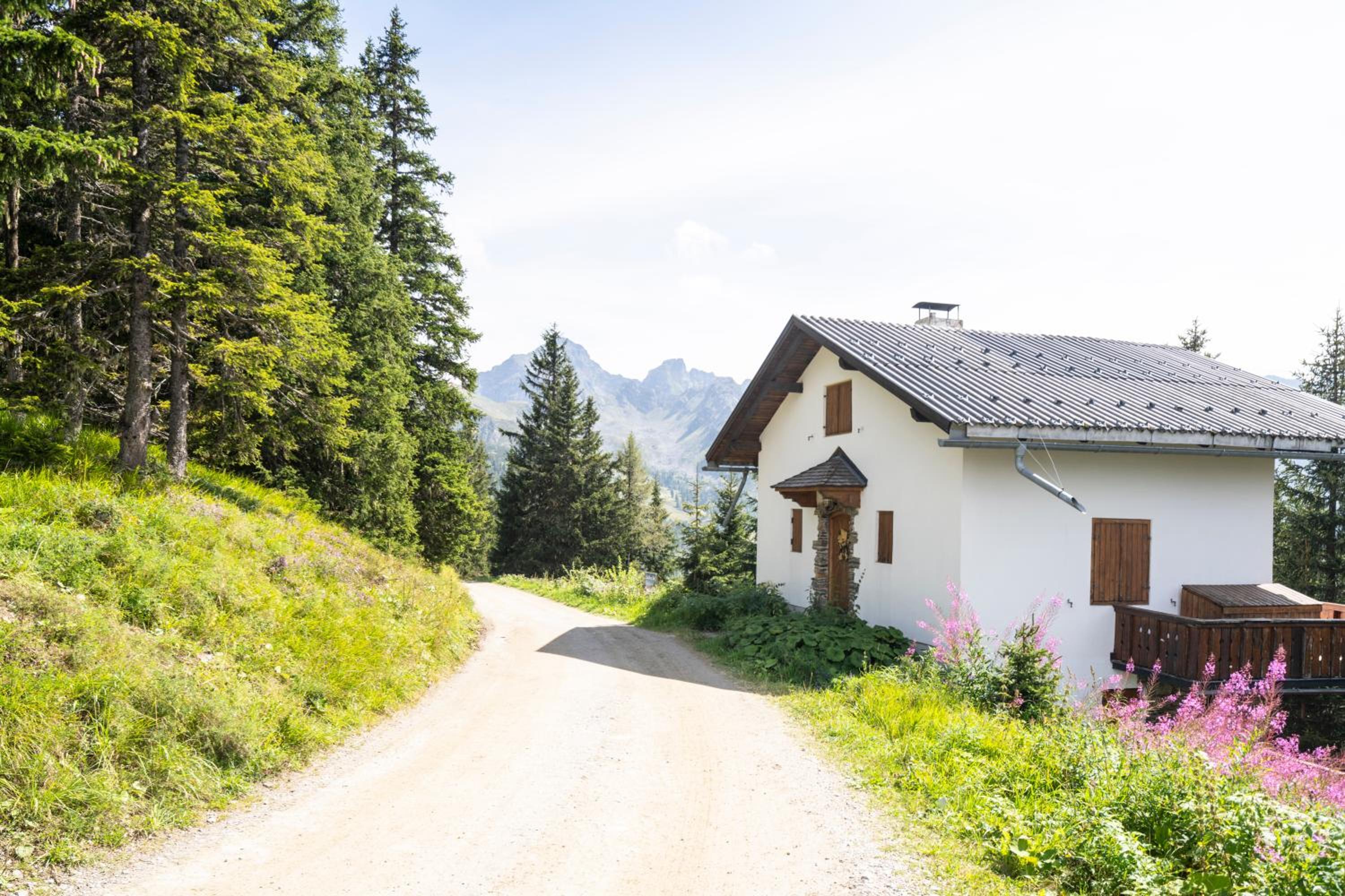 Luxus AlmChalets Schladming-Dachstein