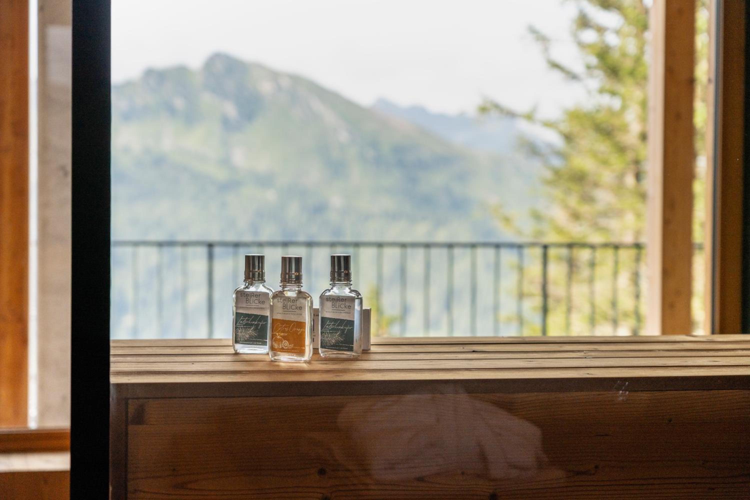 Luxus AlmChalets Schladming-Dachstein