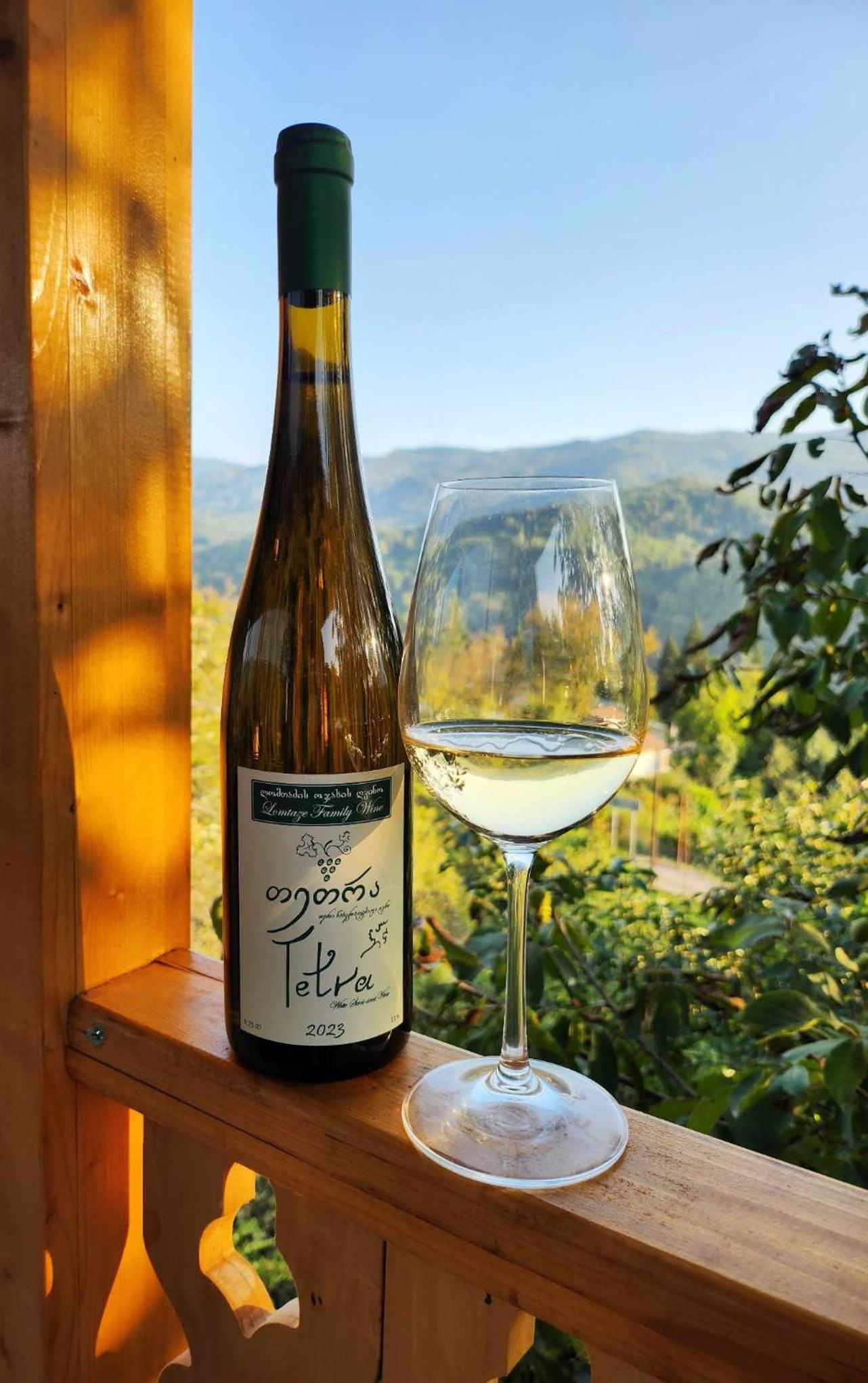 Lomtadze Family Wine Hotel