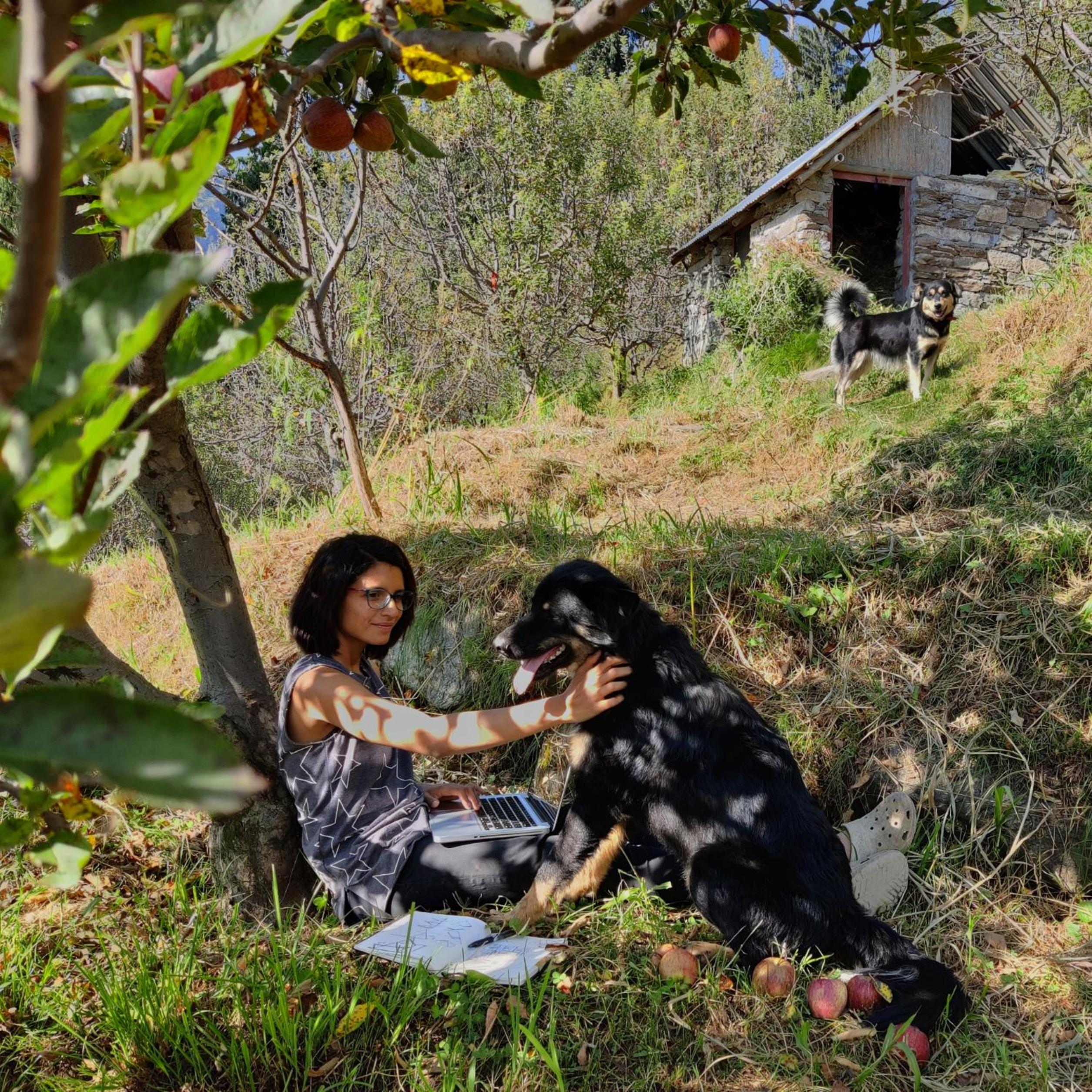 GlampEco Manali