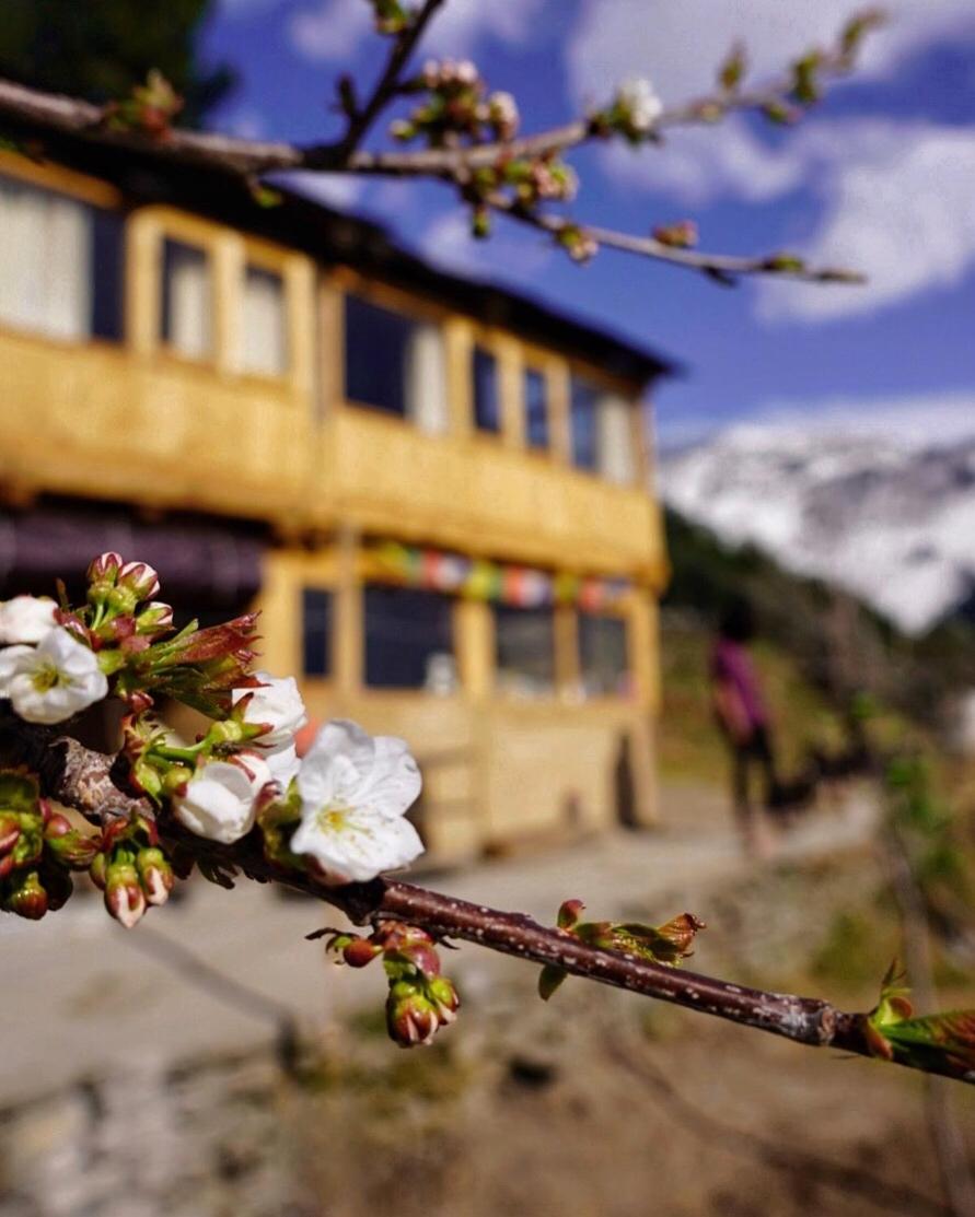 GlampEco Manali