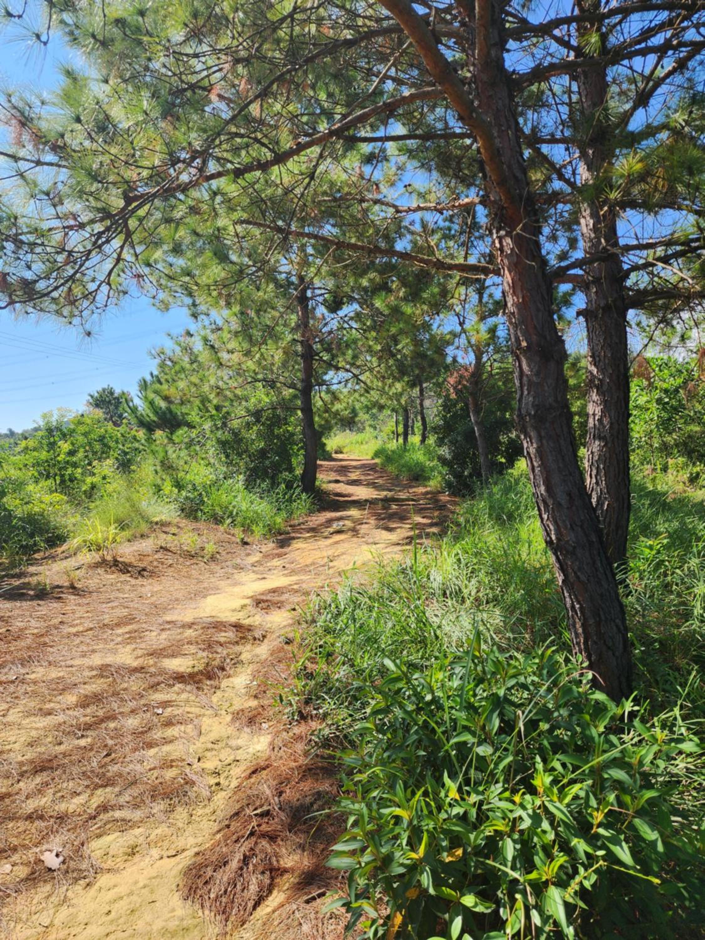 Unique & Peaceful Nature Gateway