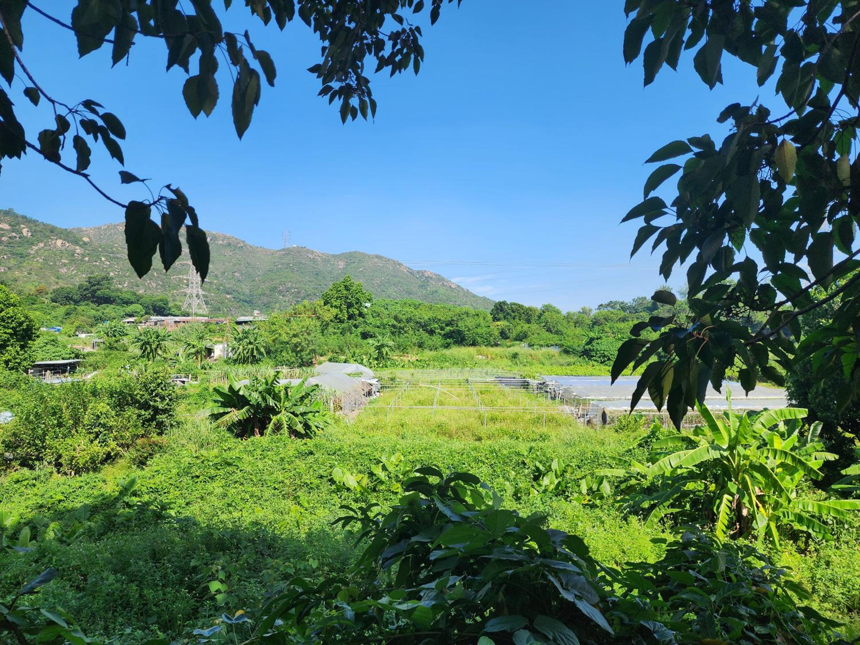 Unique & Peaceful Nature Gateway