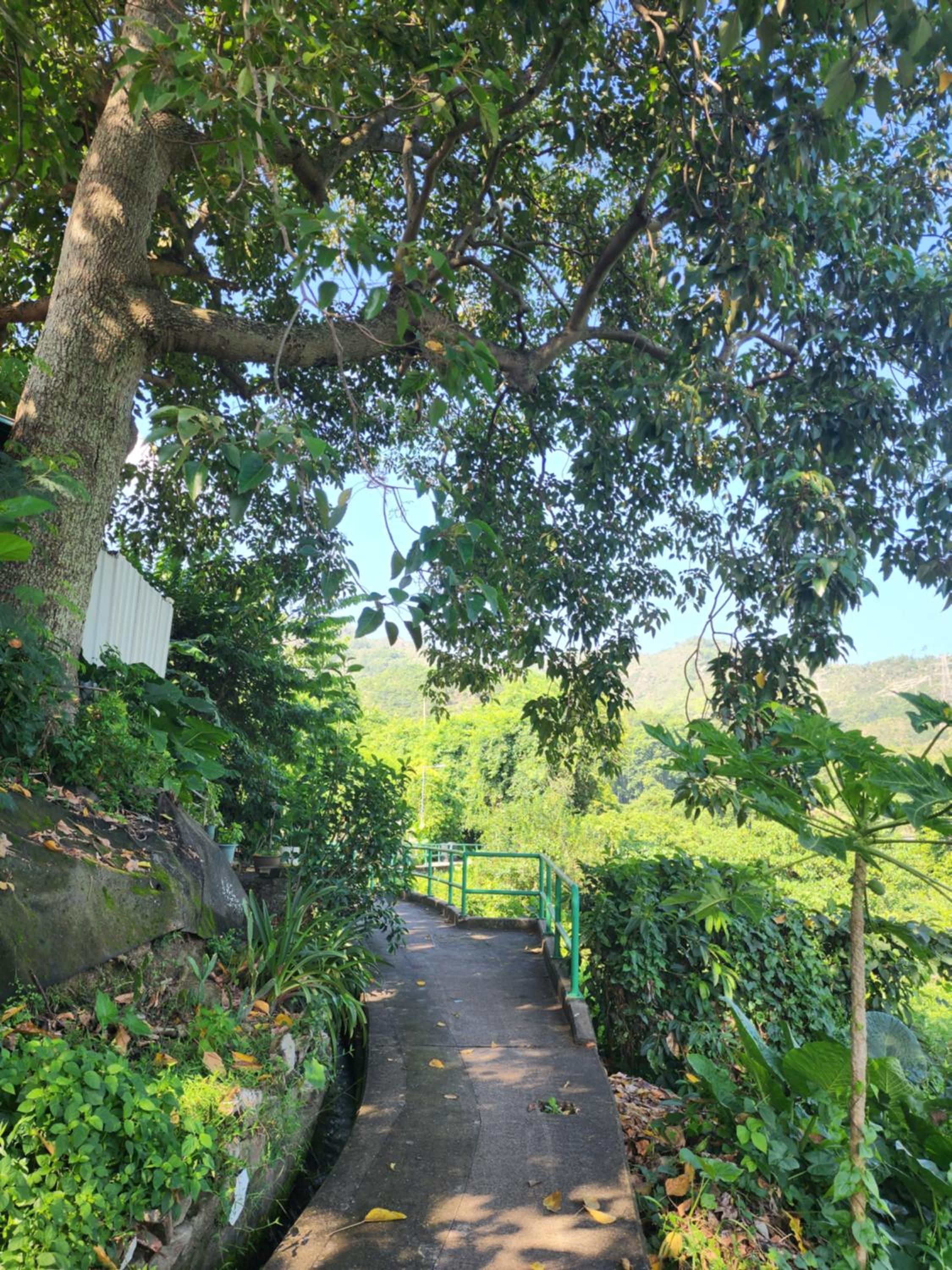 Unique & Peaceful Nature Gateway
