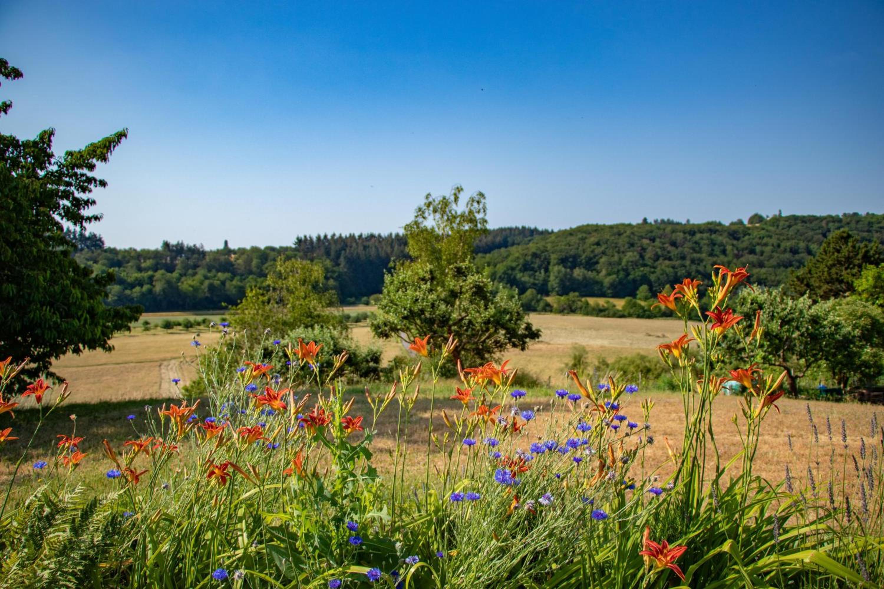 Weingut-Ferienwohnungen Lorenz - nur Urlaubsgäste