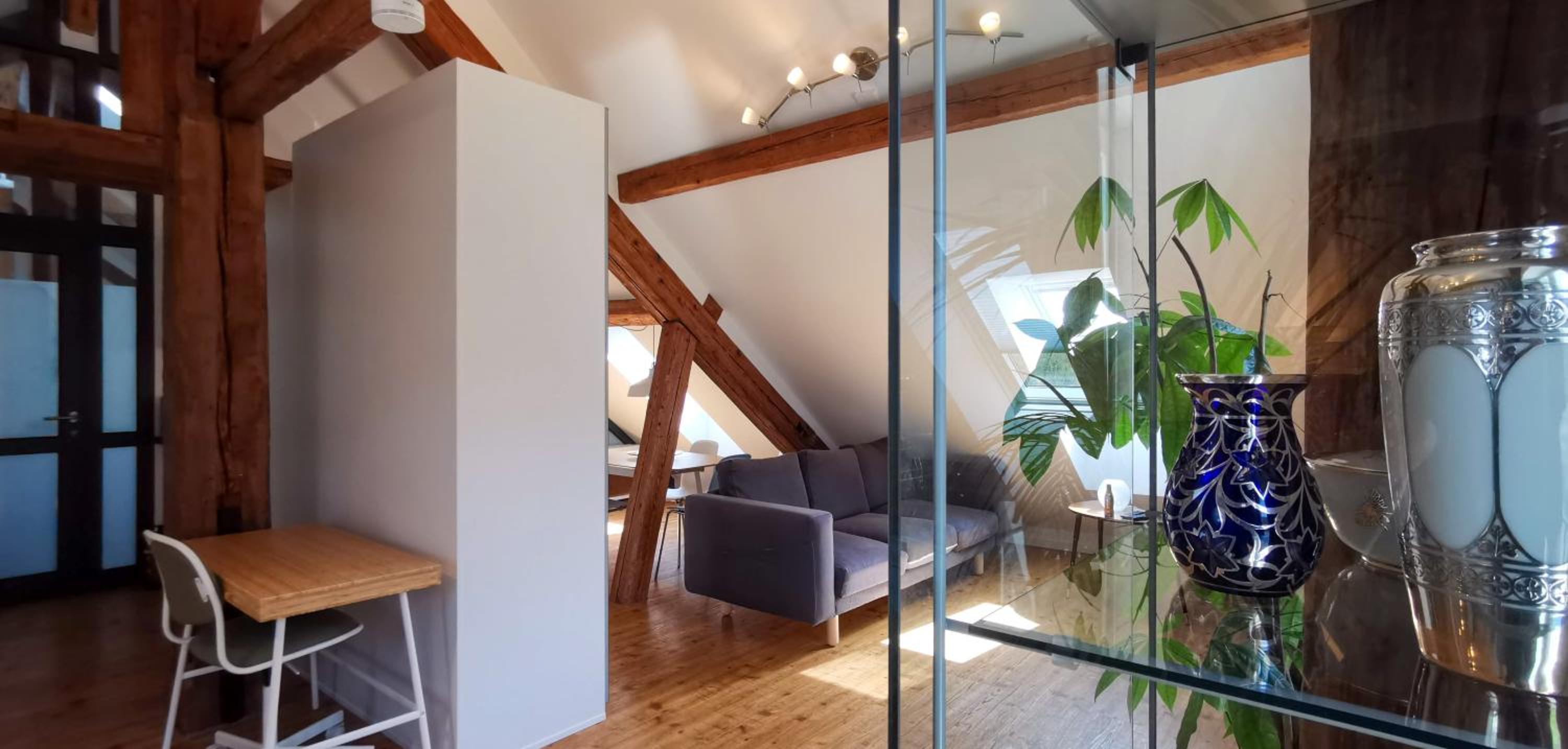 Exklusive Penthouse Wohnung, nahe zur Schweiz DA VINCI