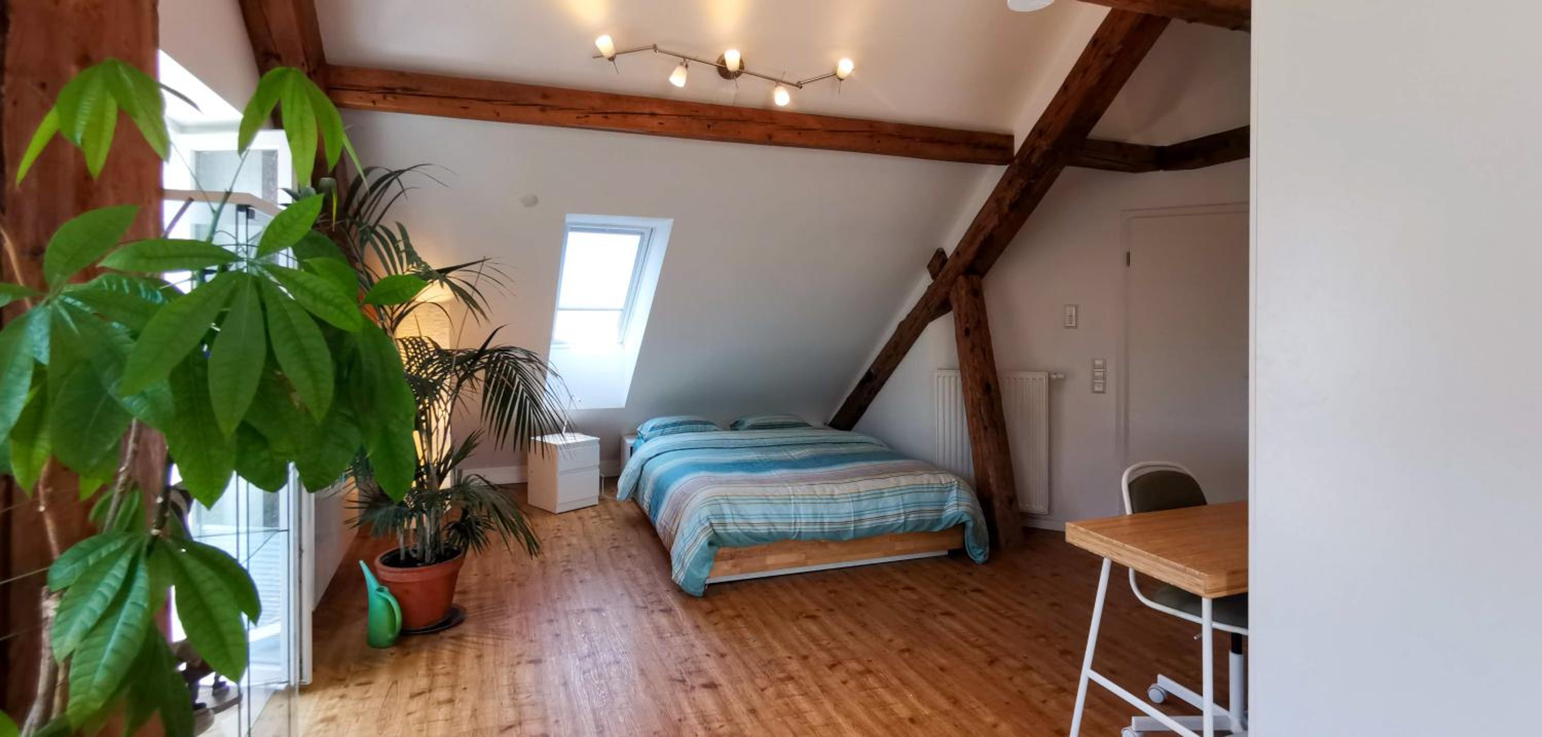 Exklusive Penthouse Wohnung, nahe zur Schweiz DA VINCI