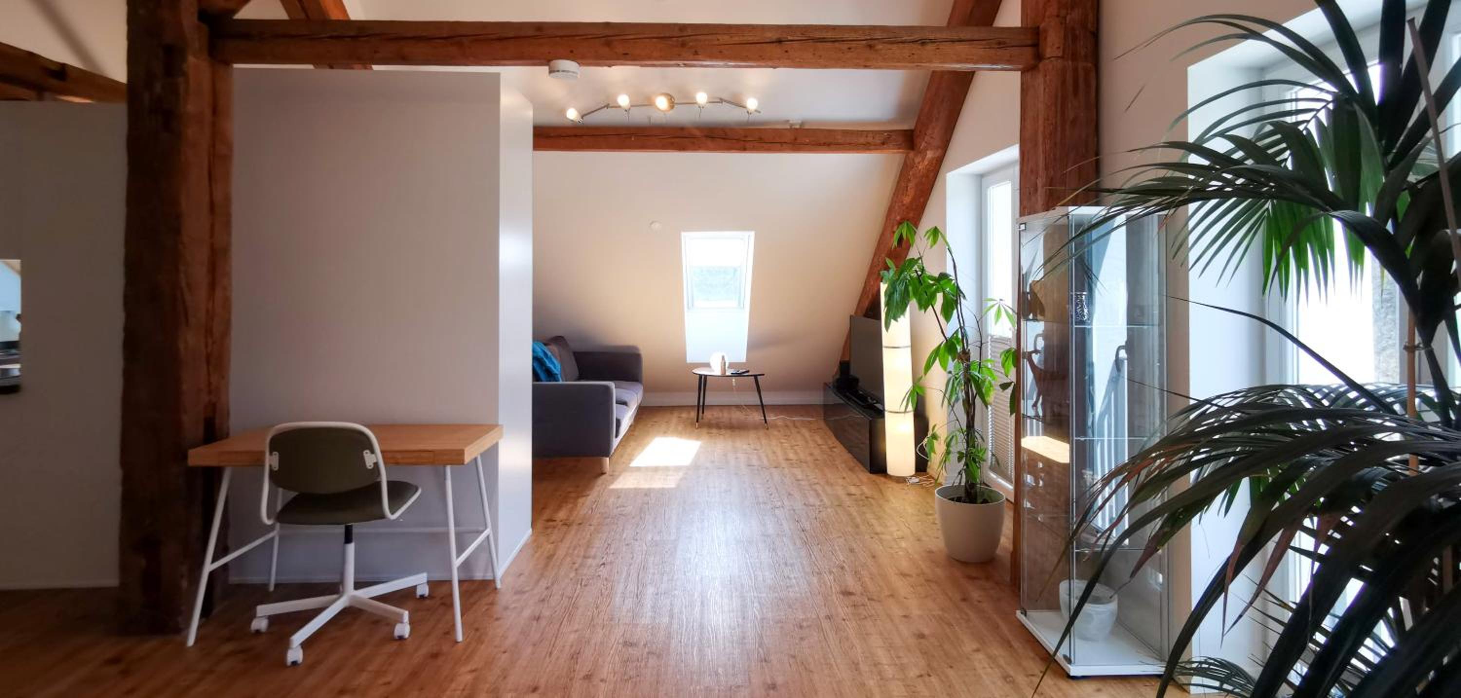 Exklusive Penthouse Wohnung, nahe zur Schweiz DA VINCI