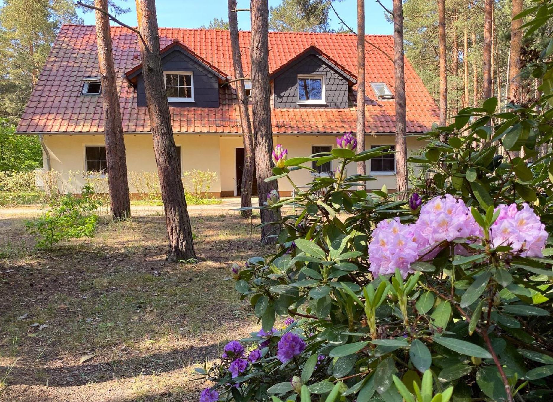 Familienpark Senftenberger See