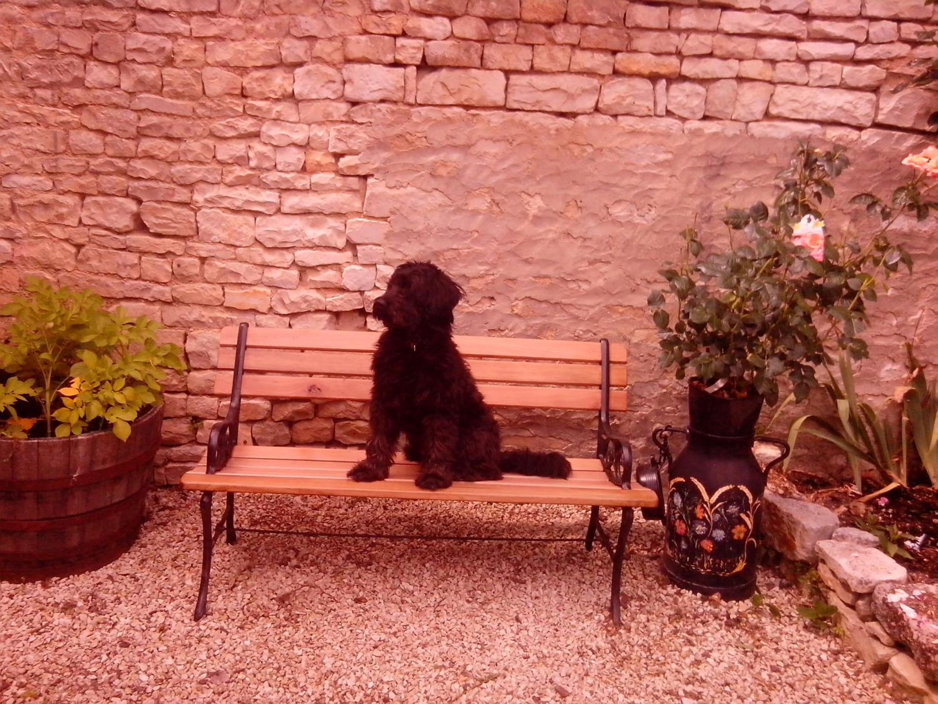 Photo 14