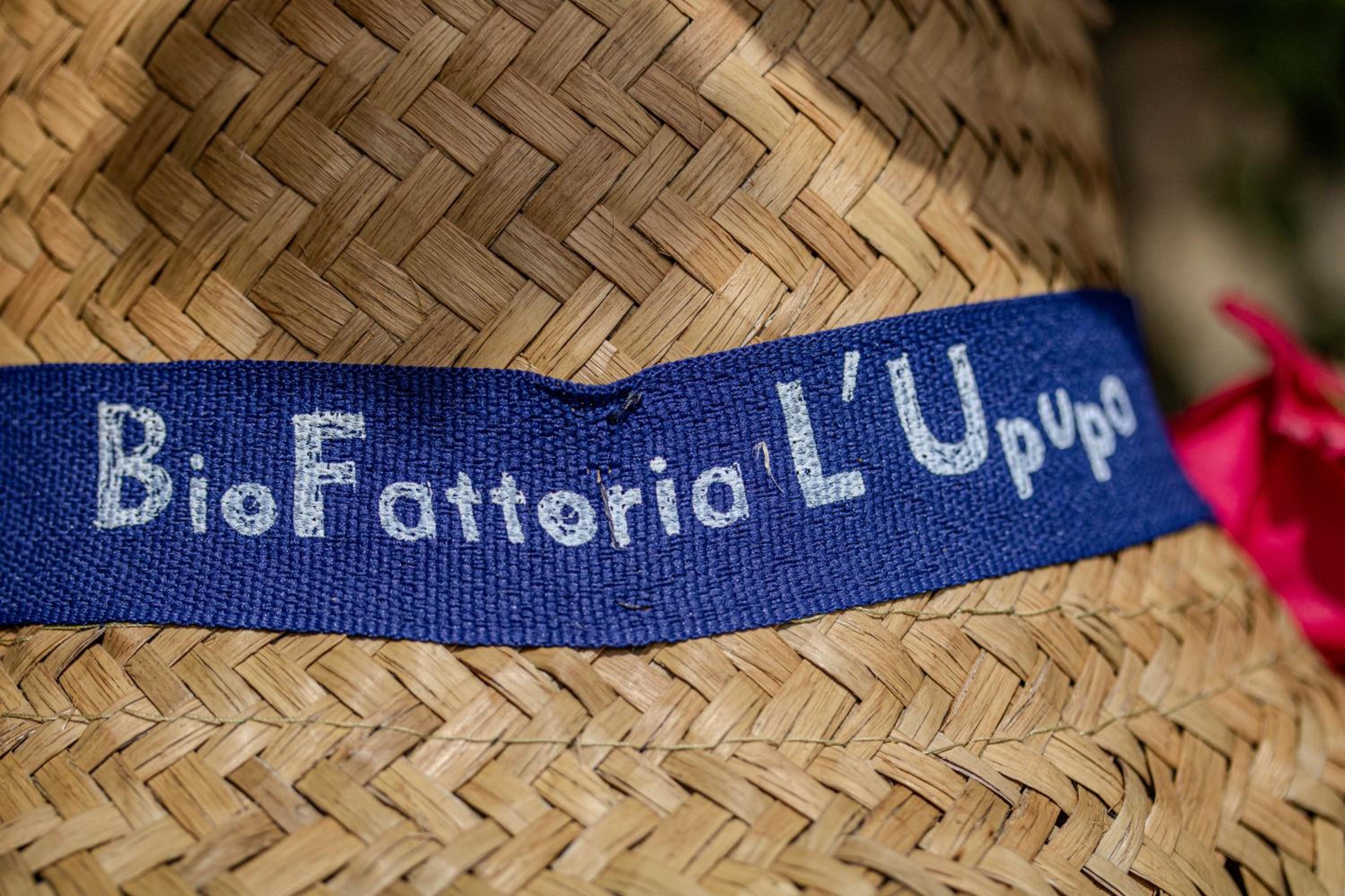 Agriturismo Biofattoria l'Upupa