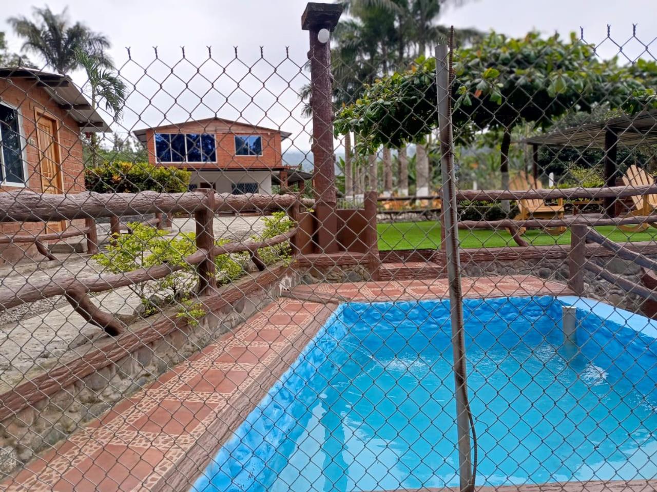 Palmerai BUCAY