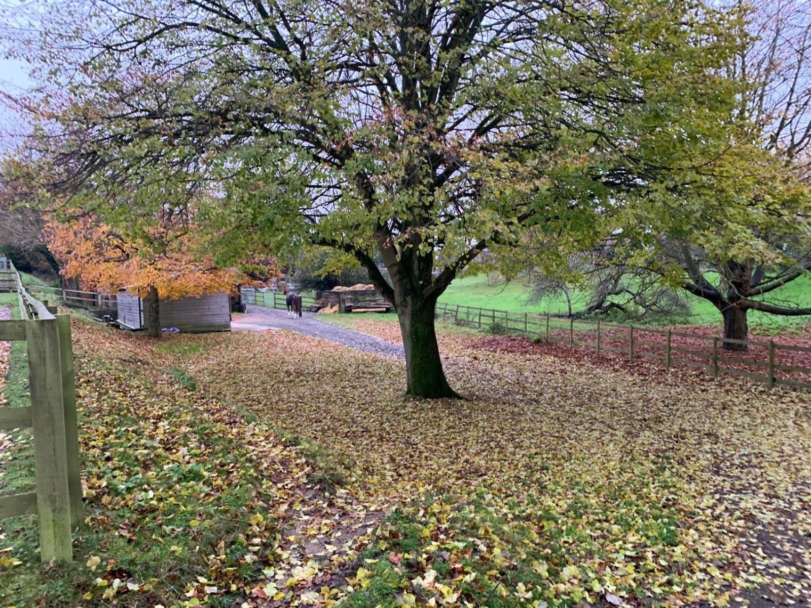 The Saddlery Barn Retreat