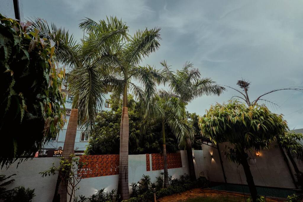 House of Palm
