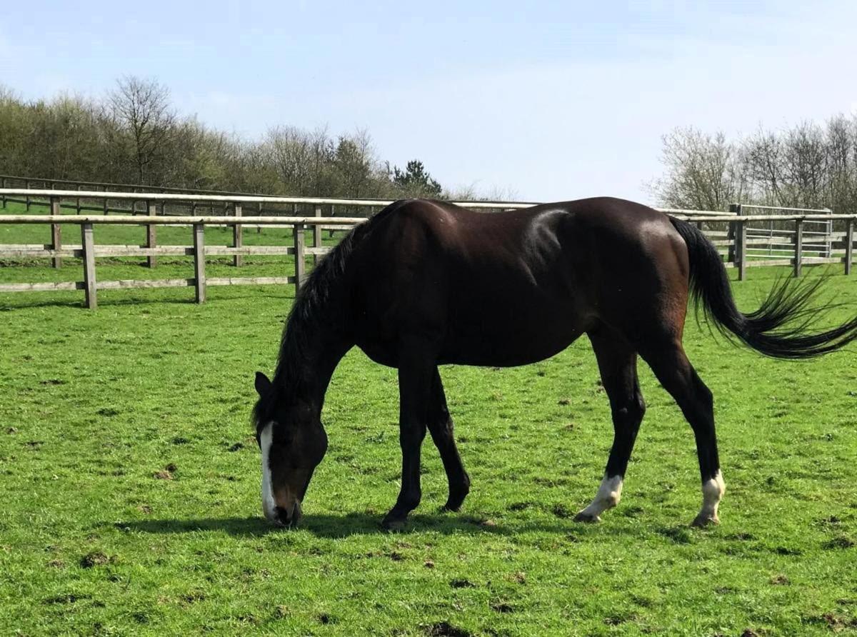 The Saddlery Barn Retreat