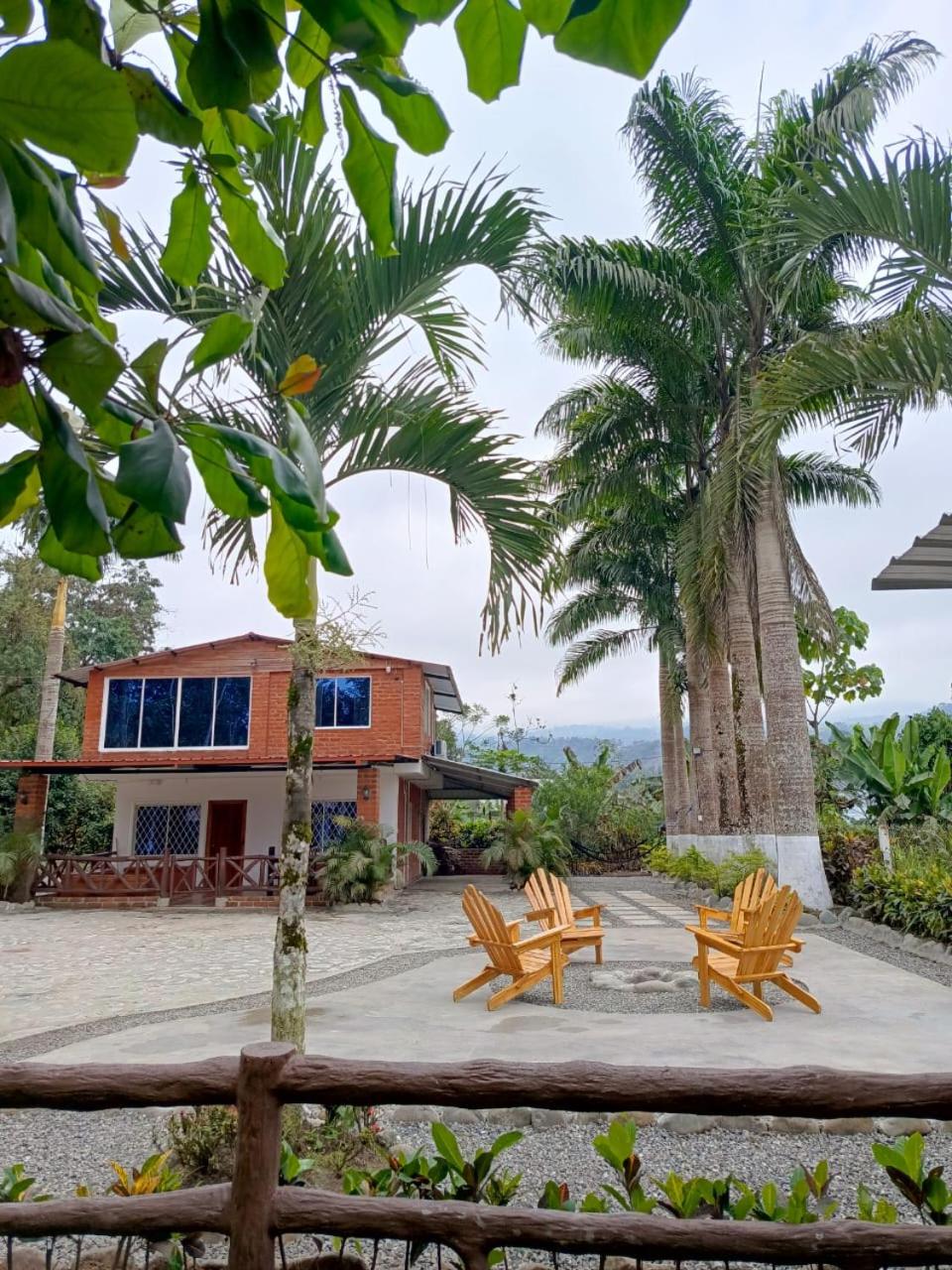 Palmerai BUCAY