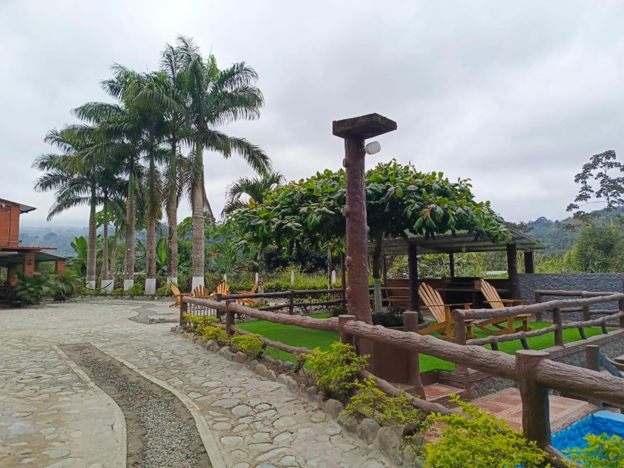 Palmerai BUCAY