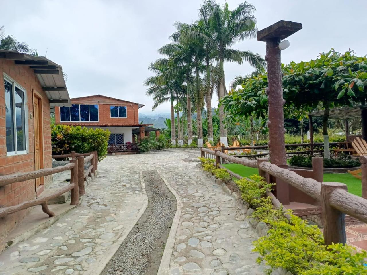 Palmerai BUCAY
