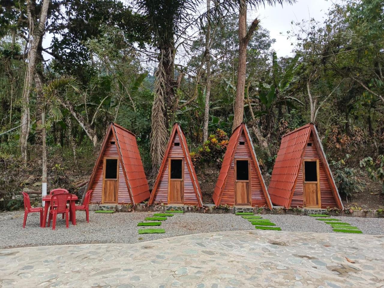 Palmerai BUCAY
