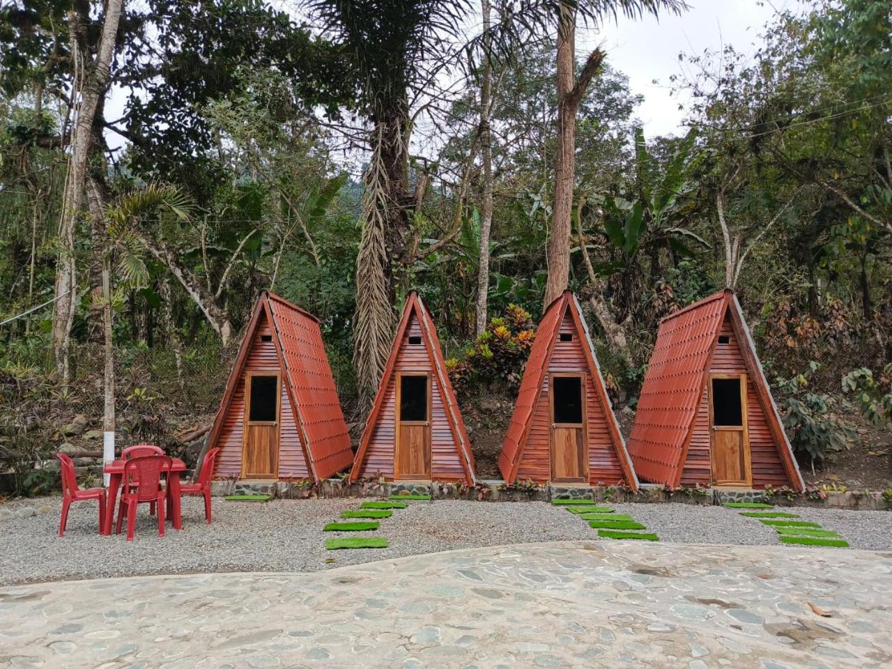 Palmerai BUCAY