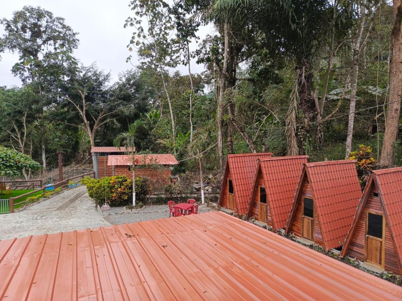 Palmerai BUCAY