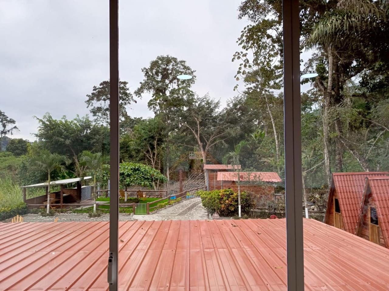 Palmerai BUCAY