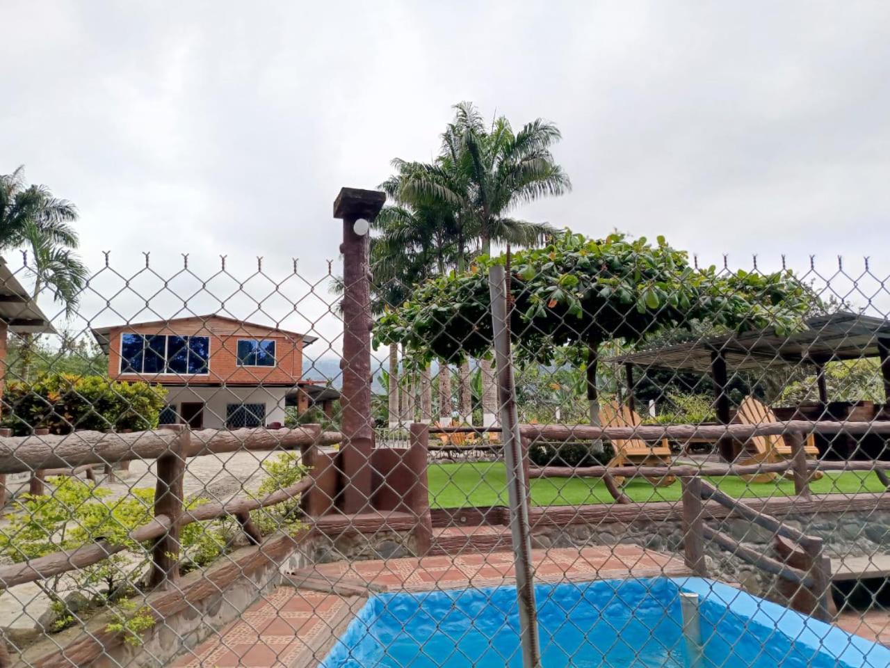 Palmerai BUCAY